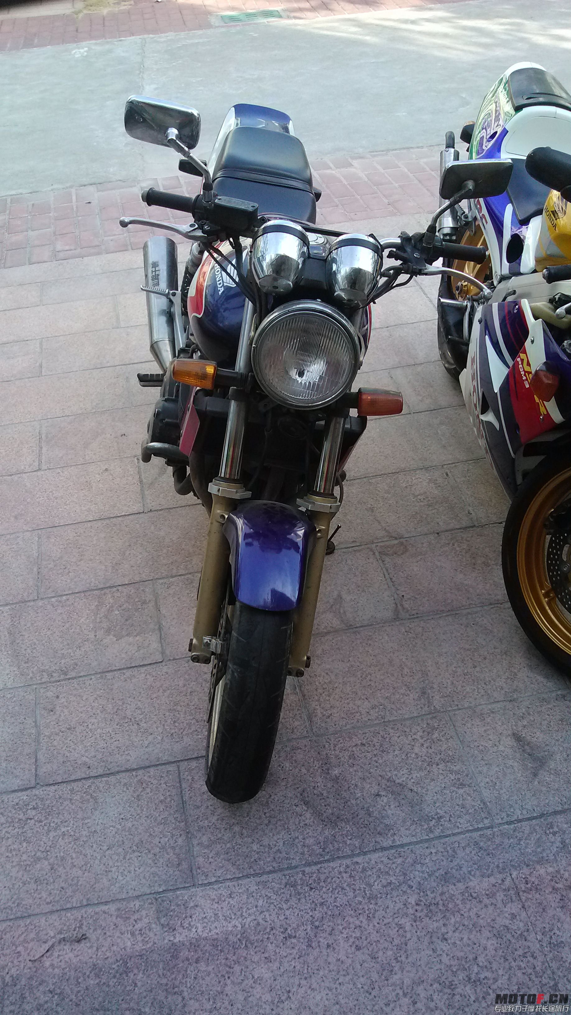 IMG_20131103_082346.jpg