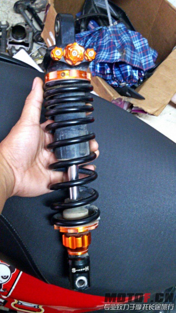 conew_cam01115.jpg