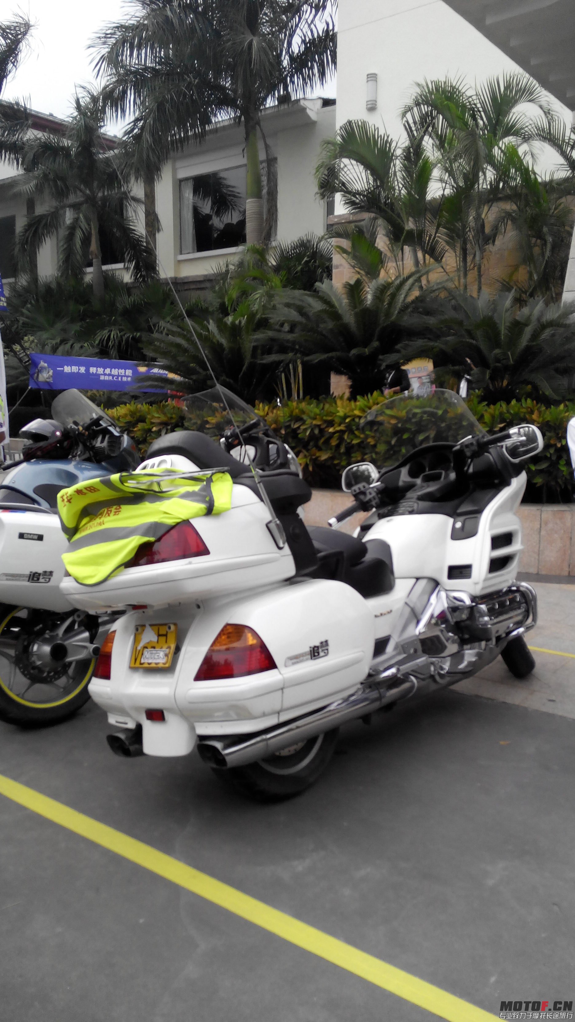 IMG_20131102_170156.jpg