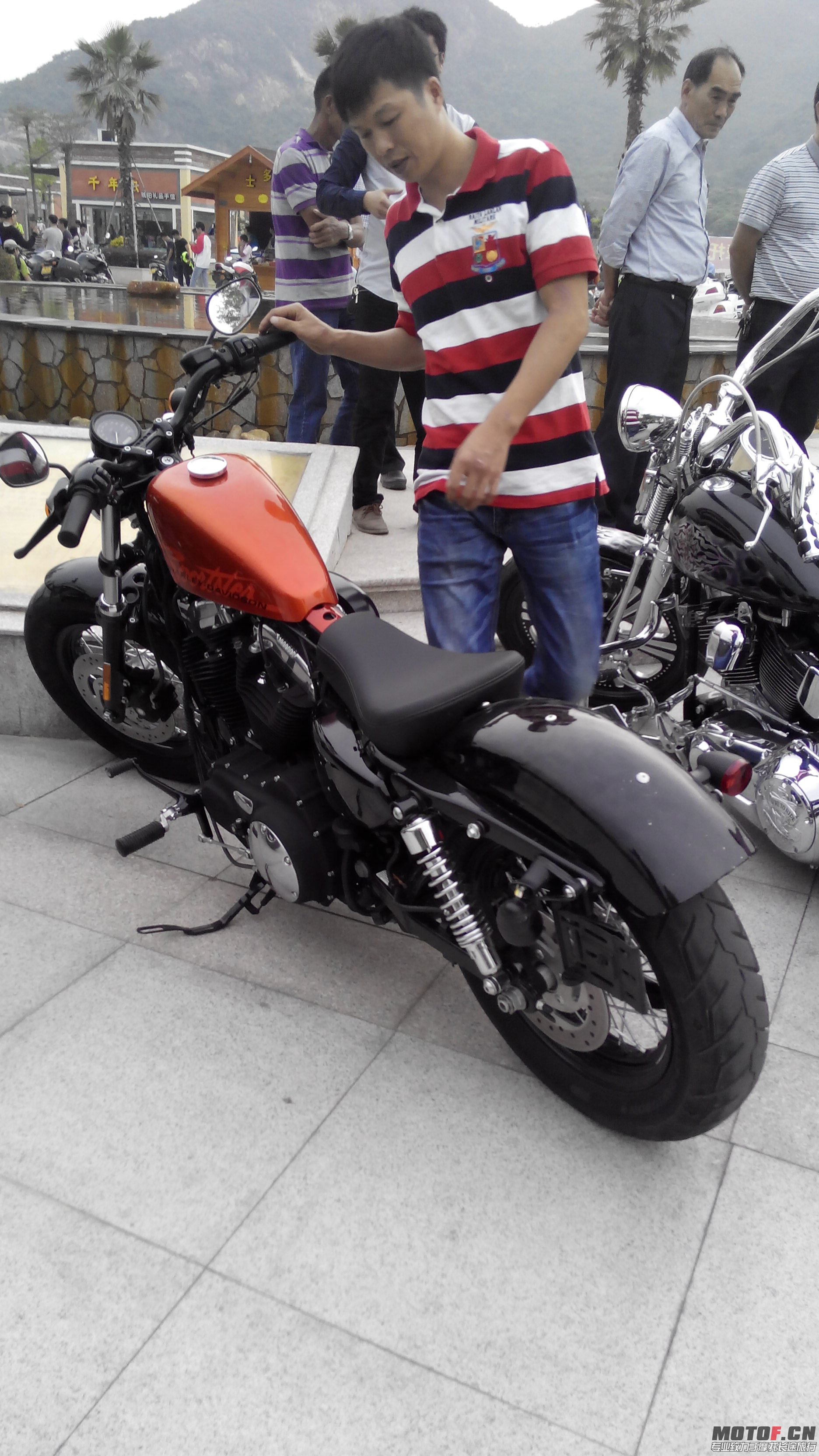 IMG_20131102_171154.jpg