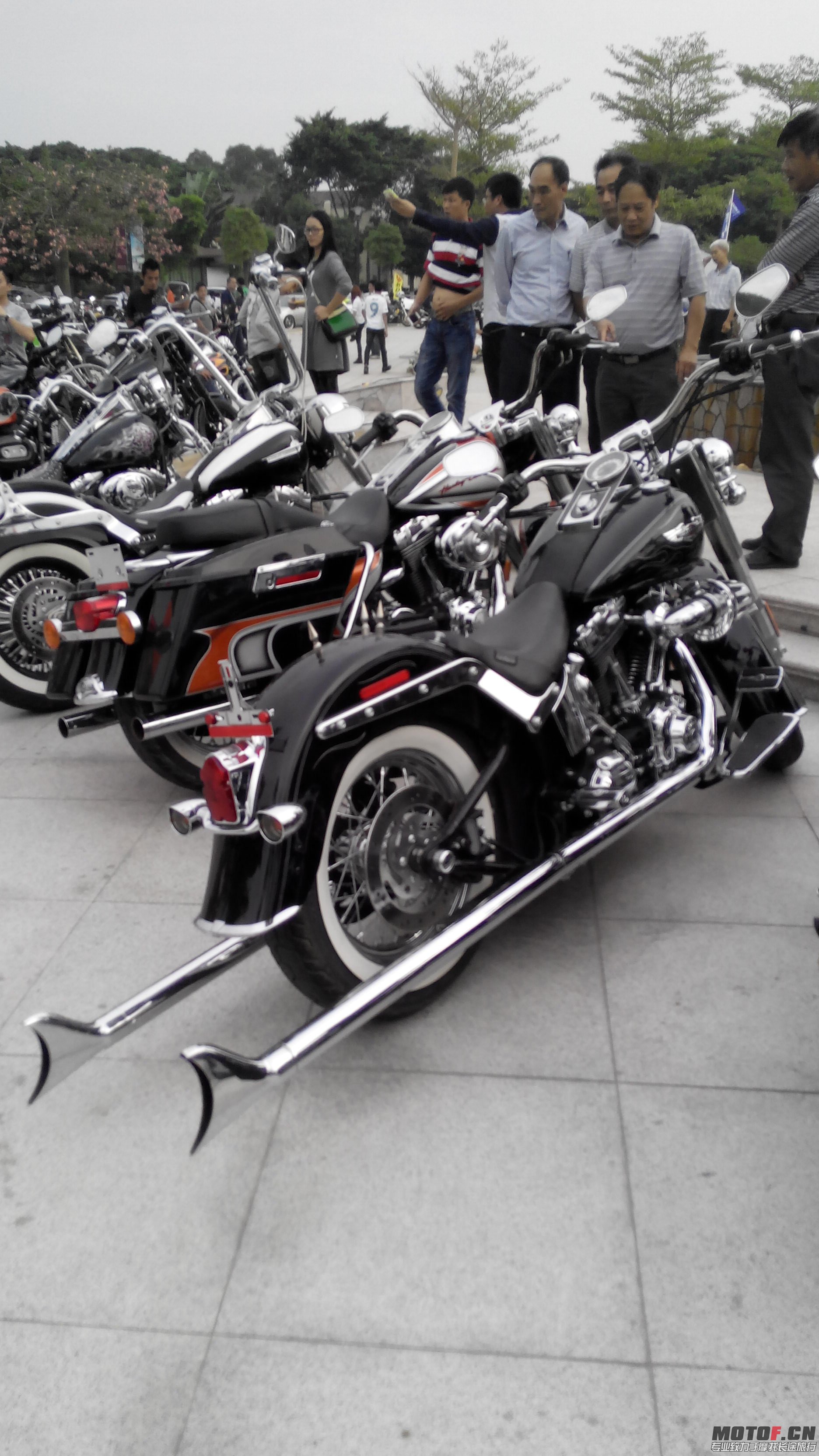IMG_20131102_171127.jpg