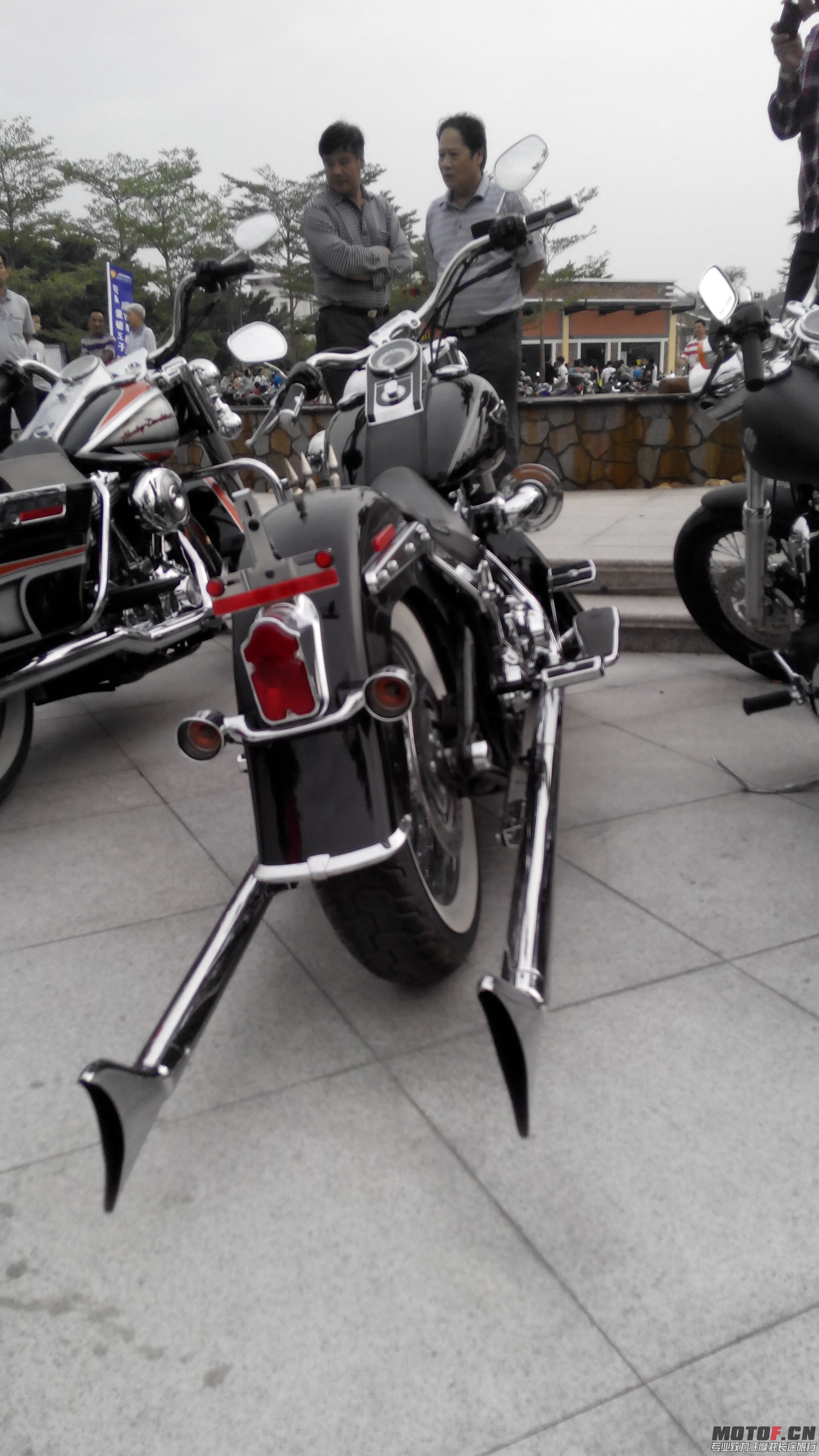 IMG_20131102_171111.jpg