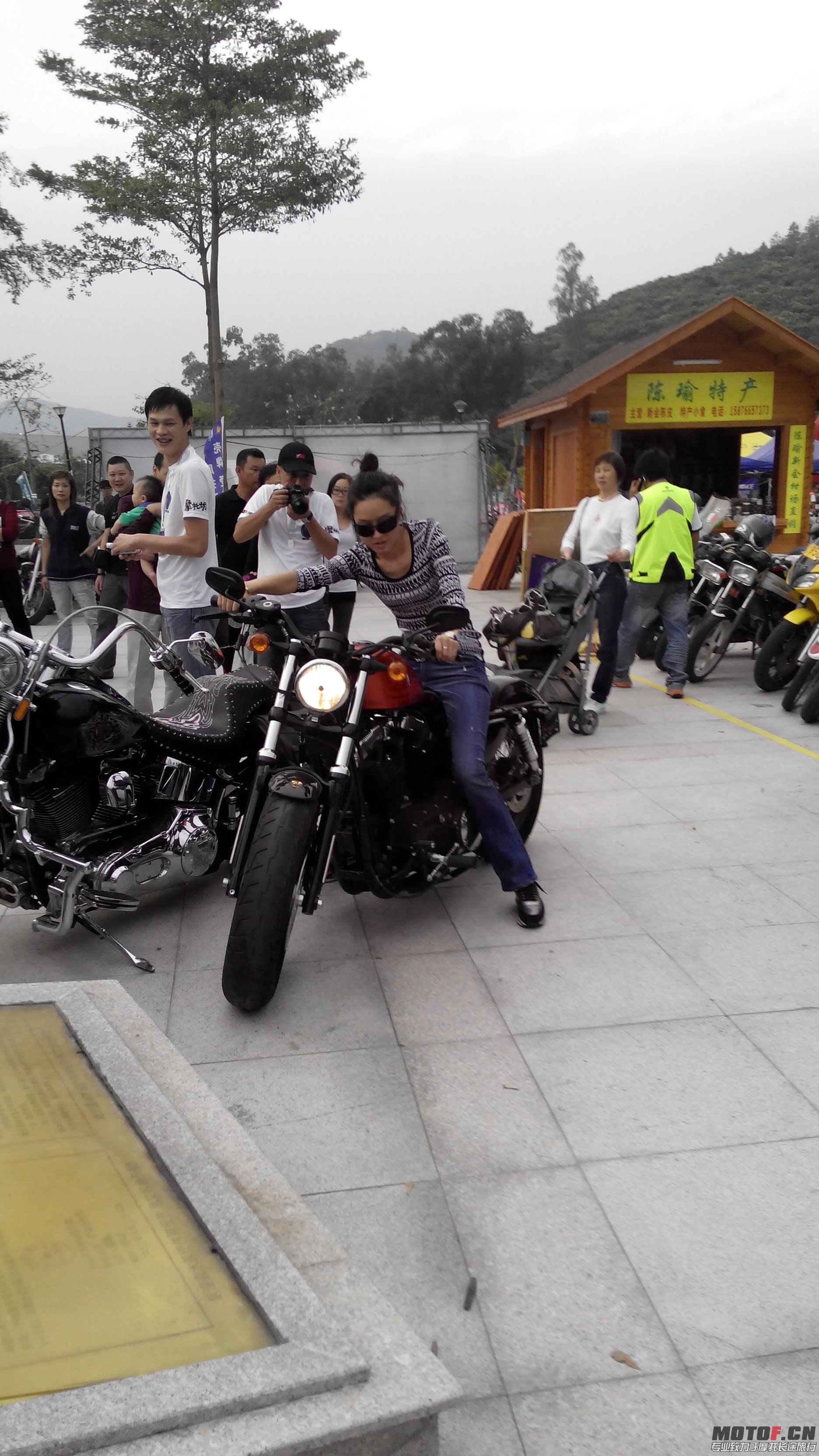 IMG_20131102_172305.jpg