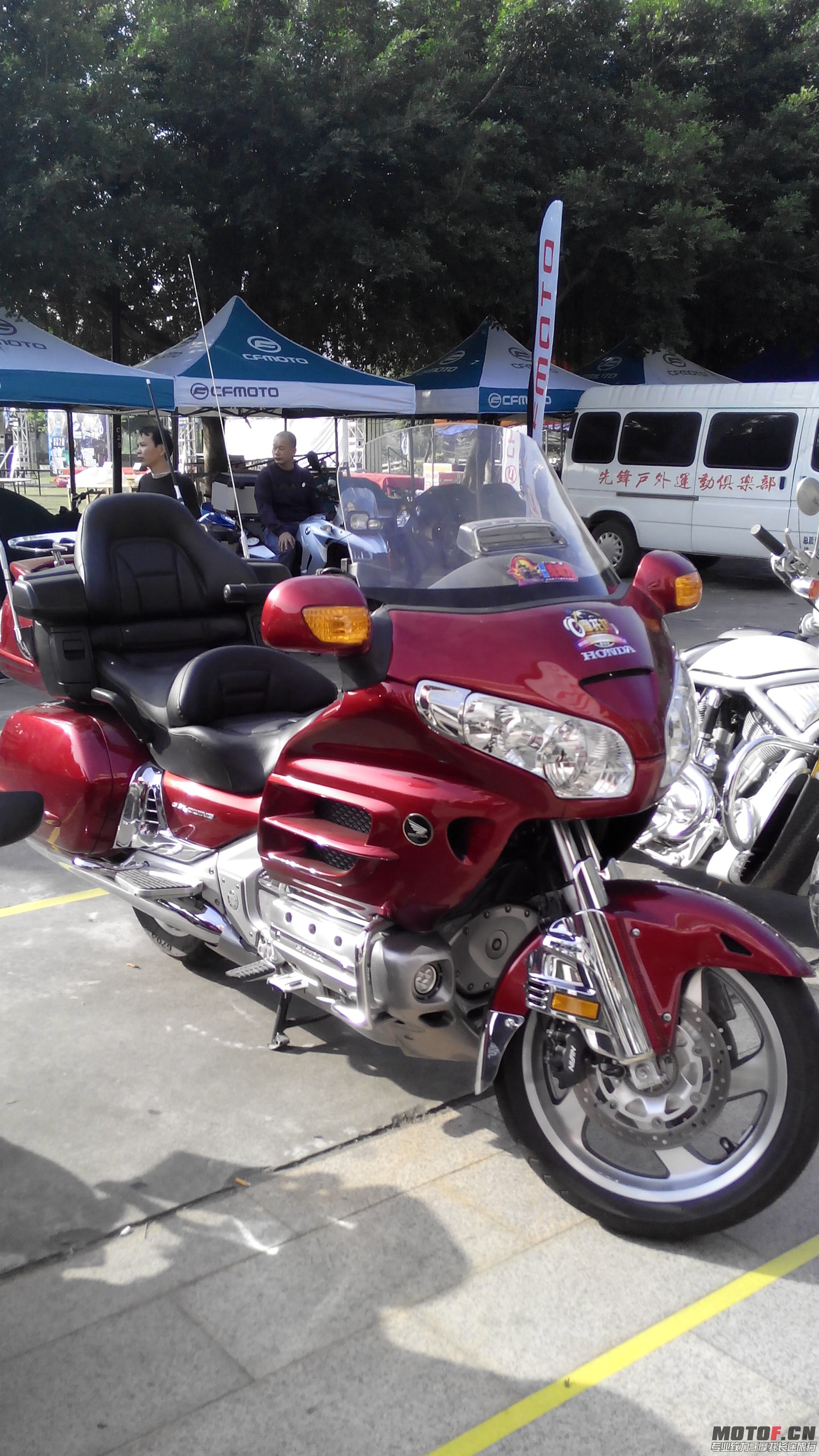 IMG_20131103_085450.jpg