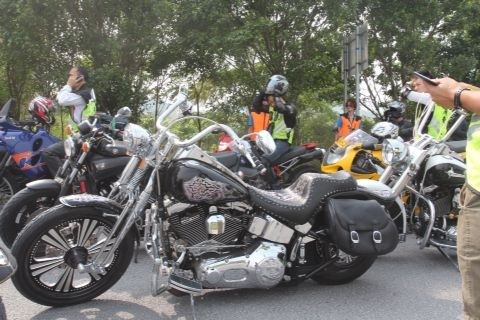 TIMG_405408539.53135.JPG