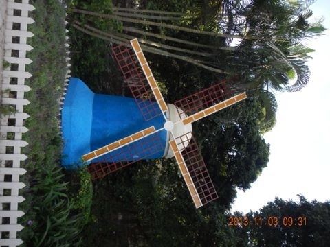 TIMG_405408607.00528.JPG