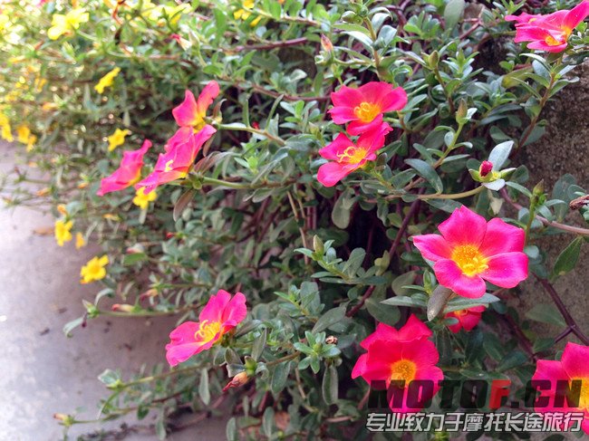 nEO_IMG_IMG_6350.jpg