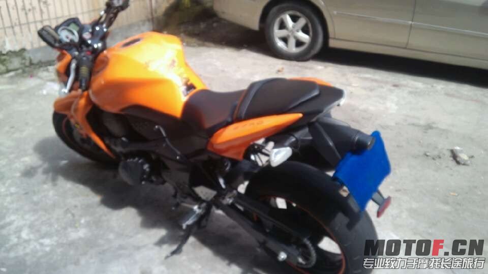 z7503.jpg