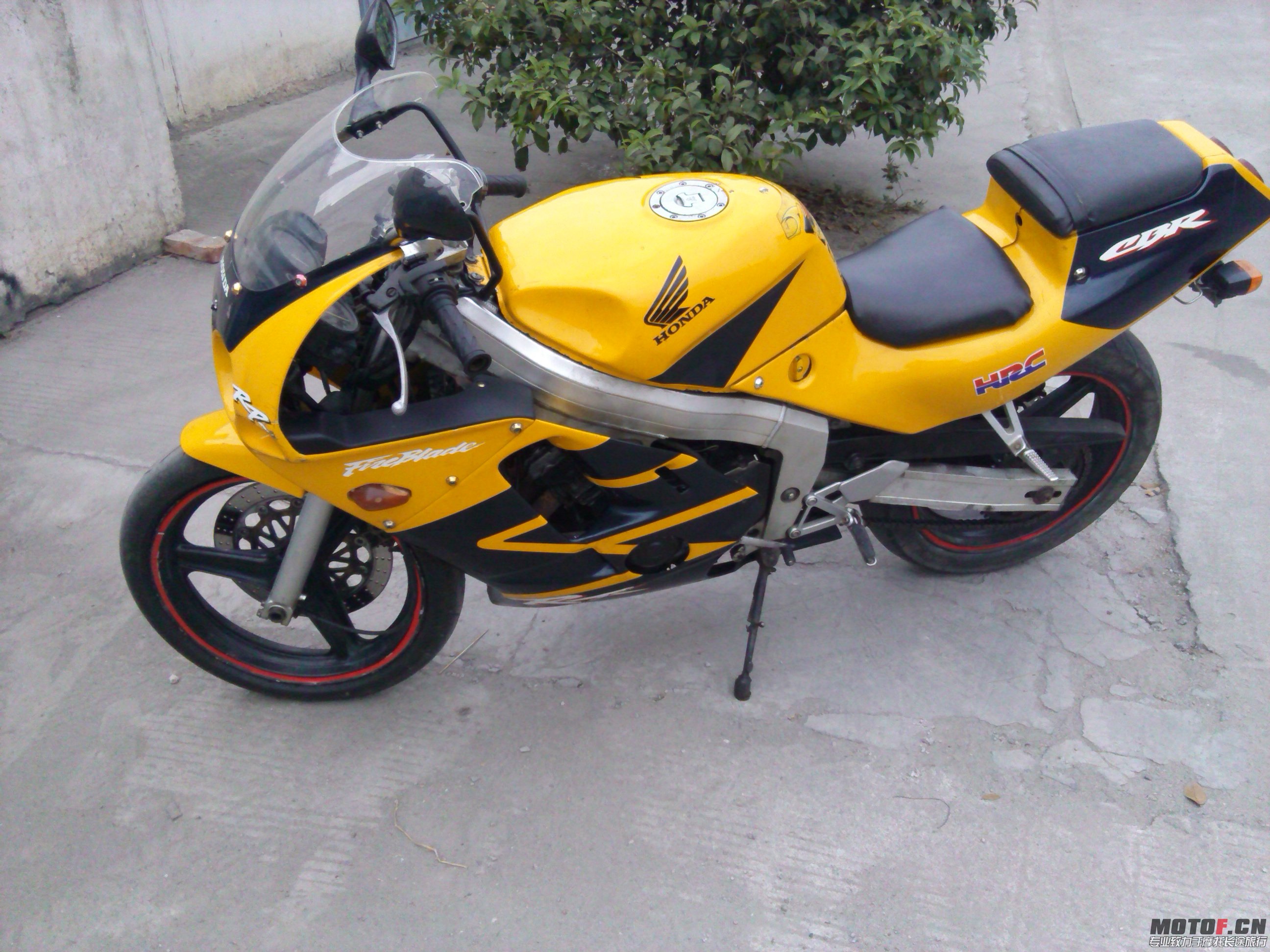 IMG_20131108_164823(1).jpg