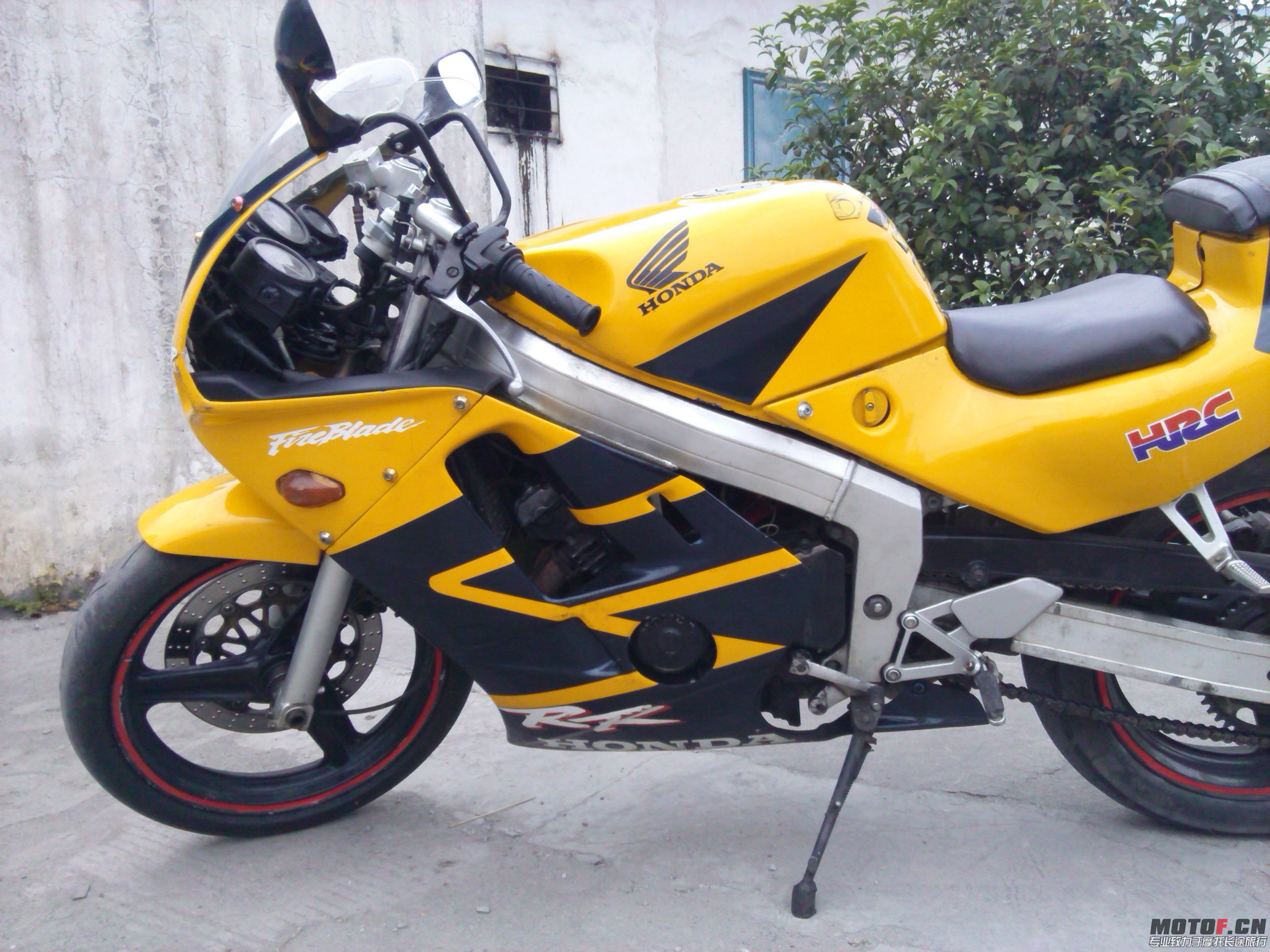 IMG_20131108_164922.jpg