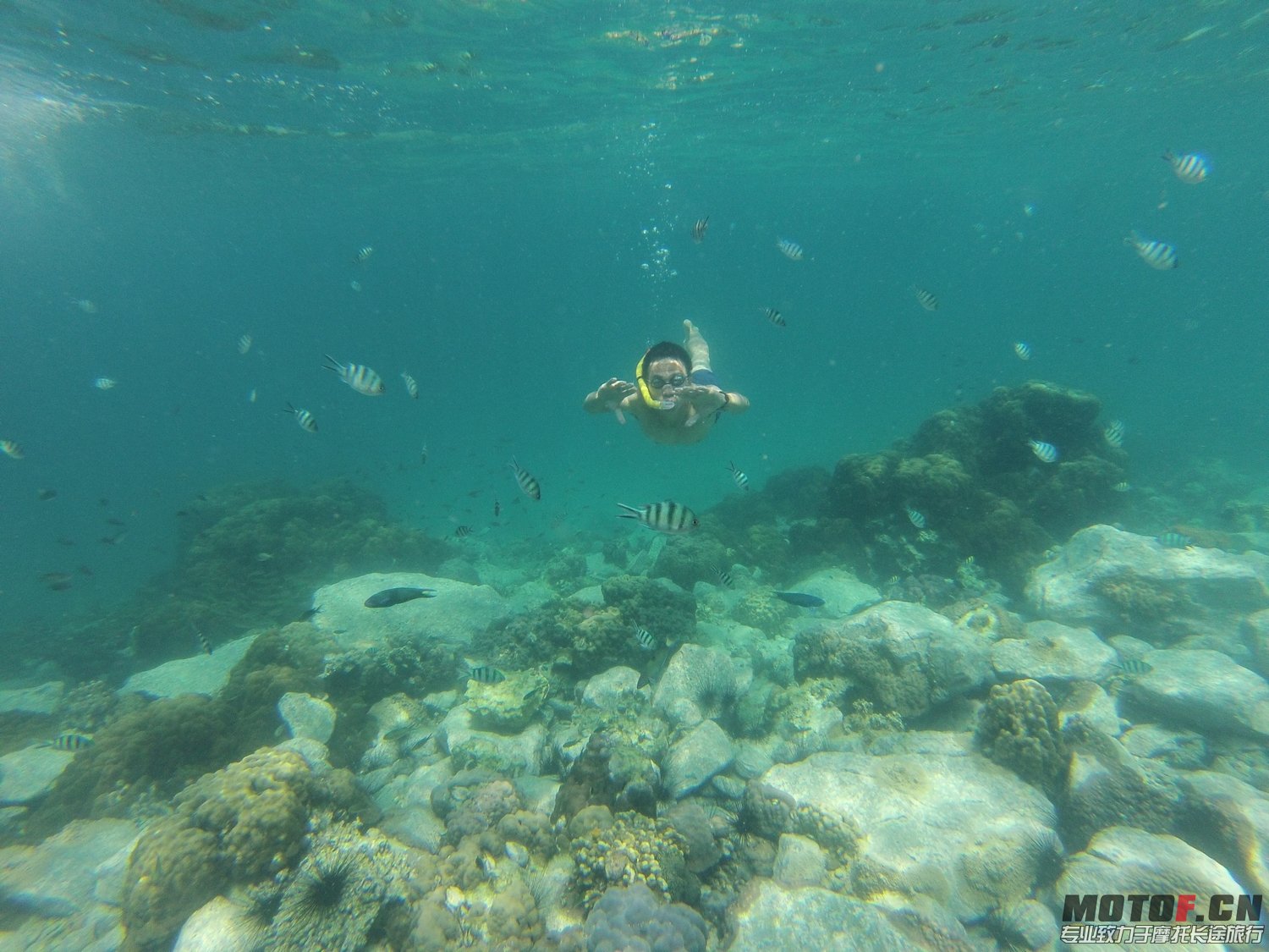 GOPR0114.jpg