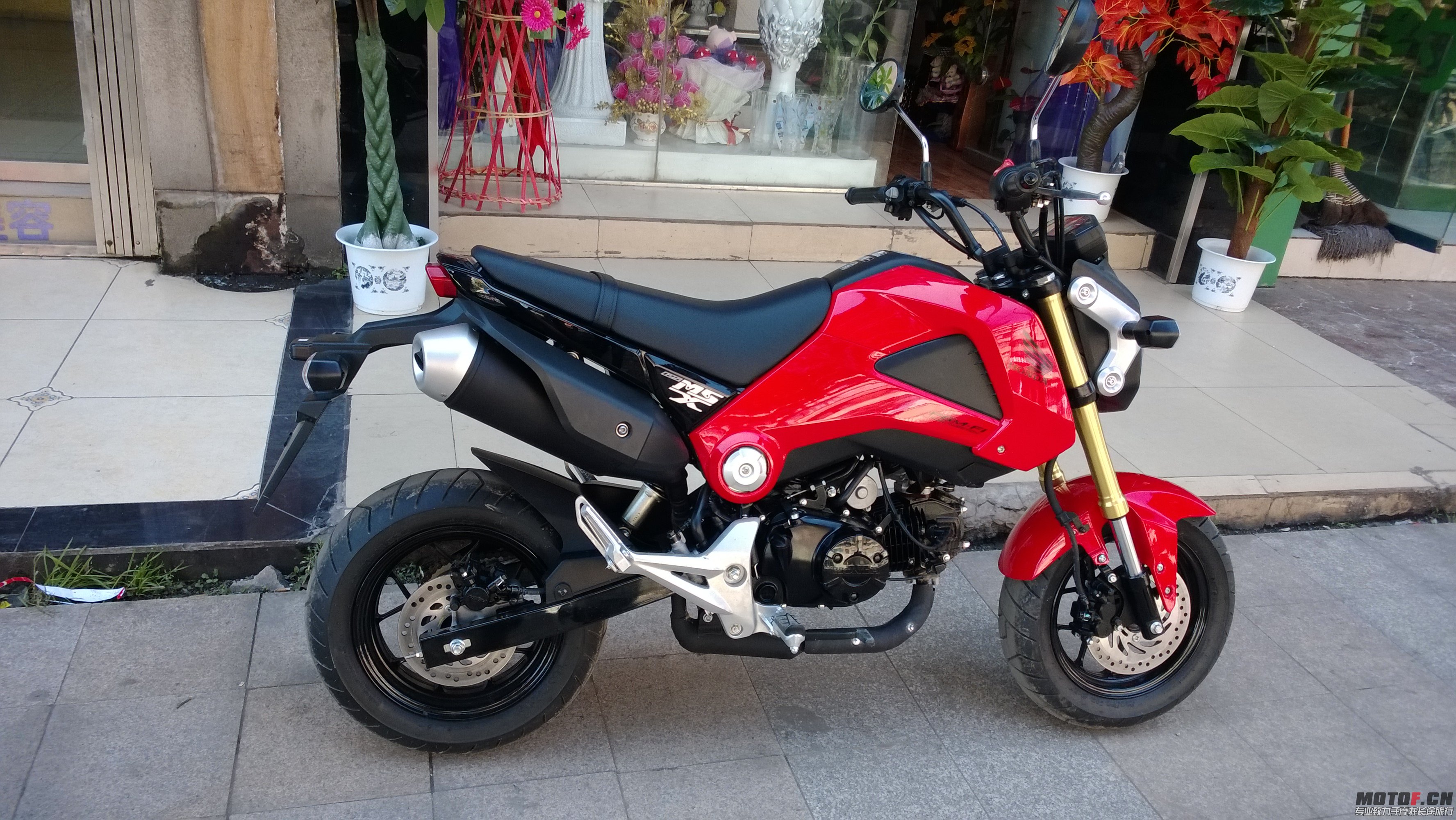 WP_20131025_001.jpg