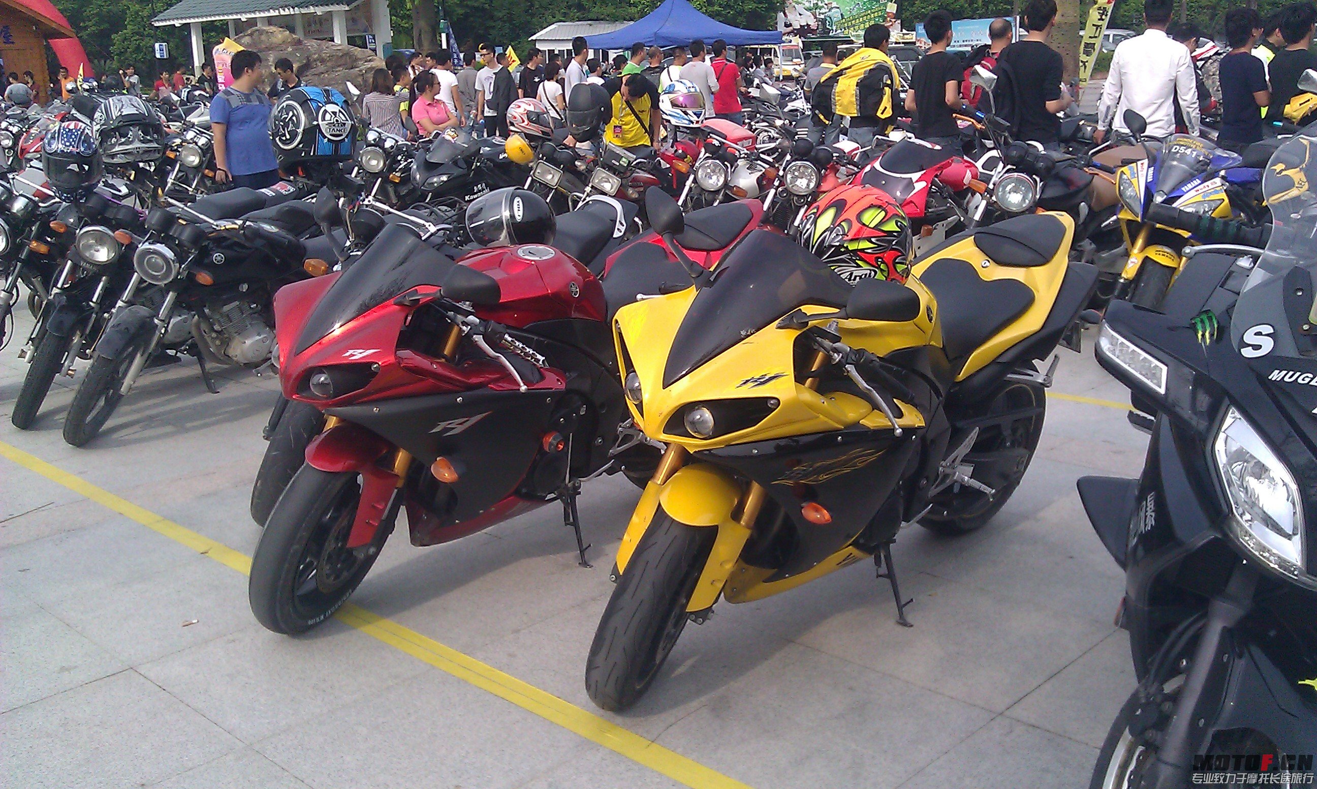 IMAG1367.jpg