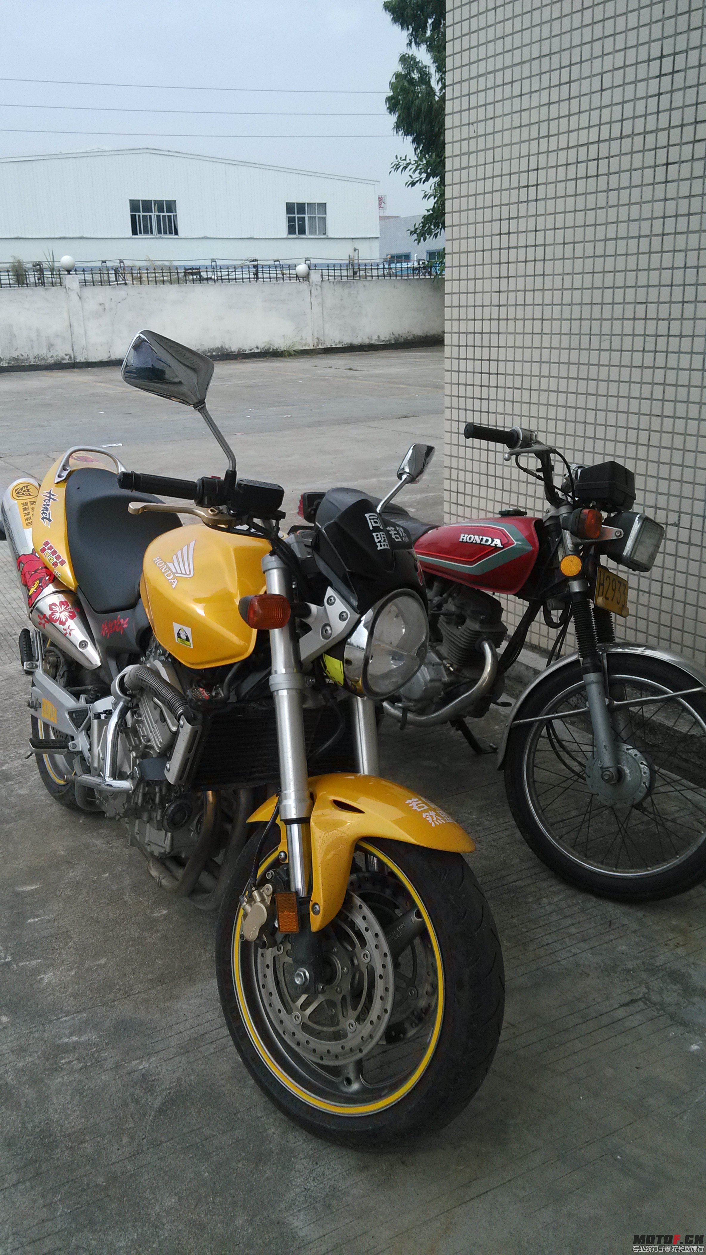 IMG_20131111_110309.jpg