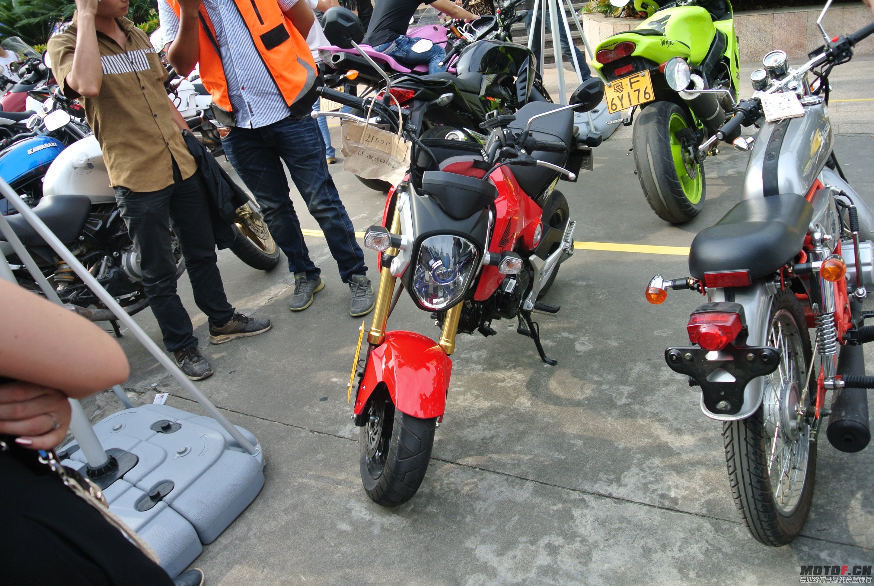 DSC_1518.JPG
