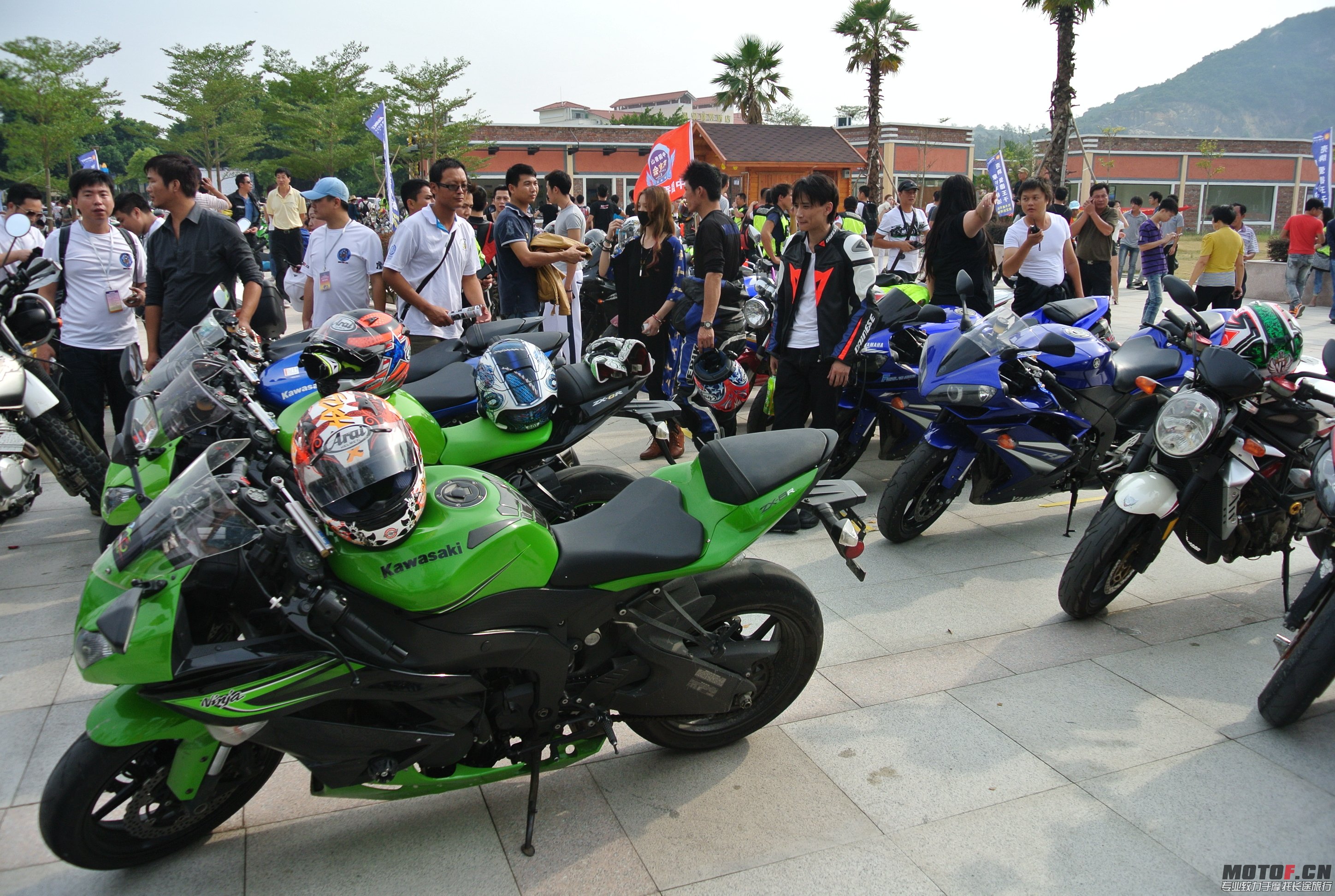DSC_1526.JPG