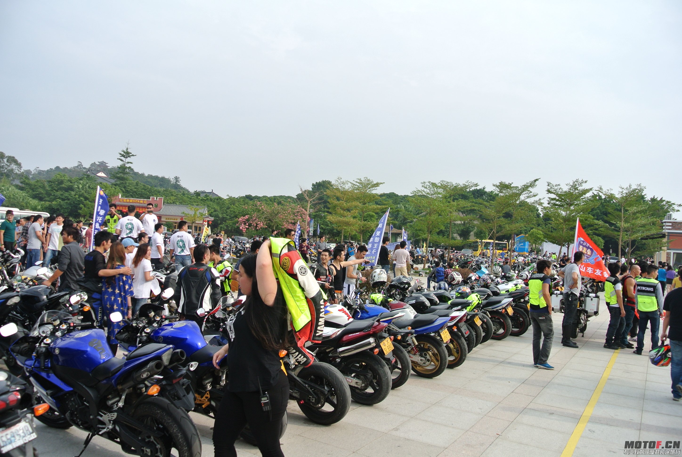 DSC_1527.JPG