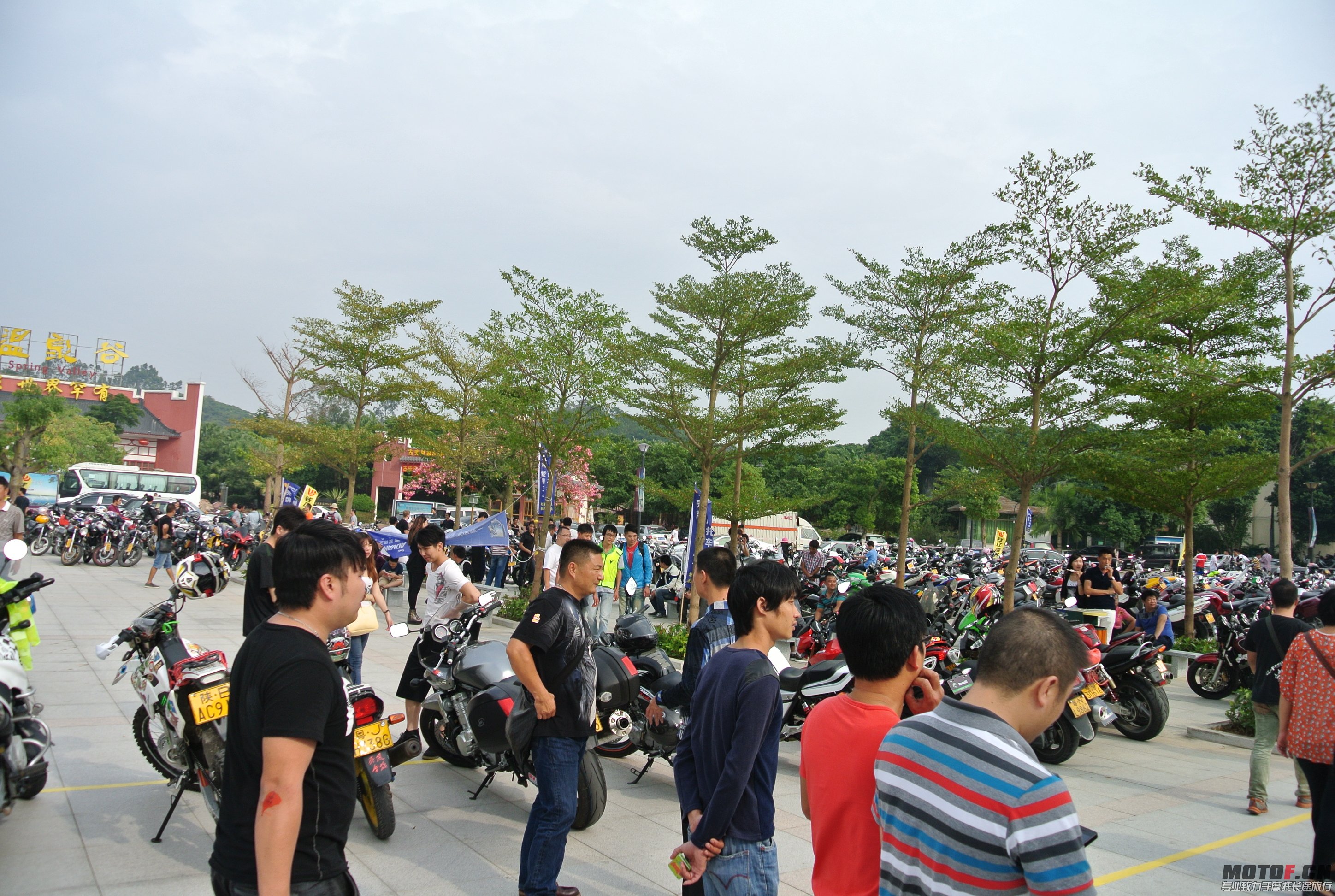 DSC_1528.JPG