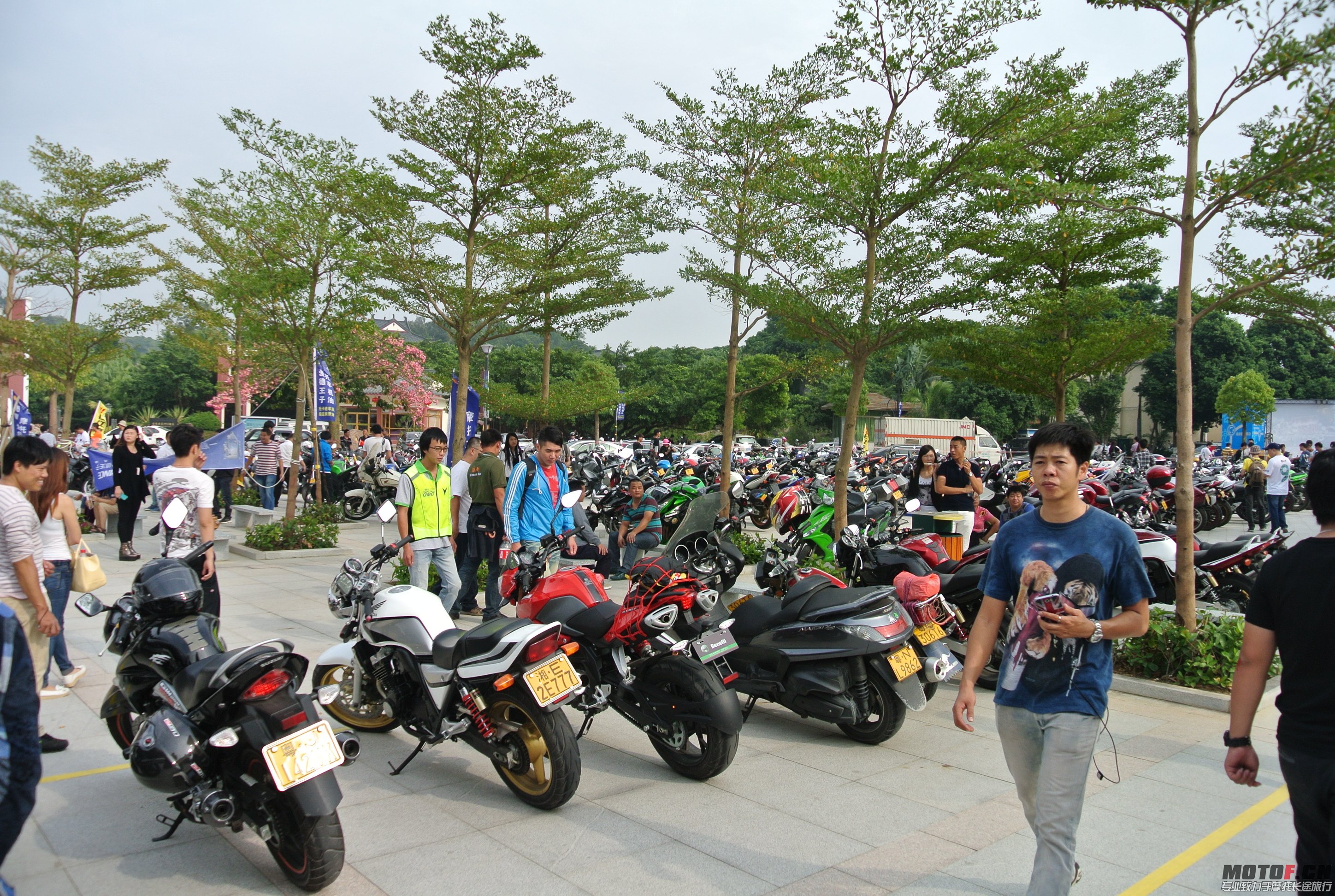 DSC_1529.JPG