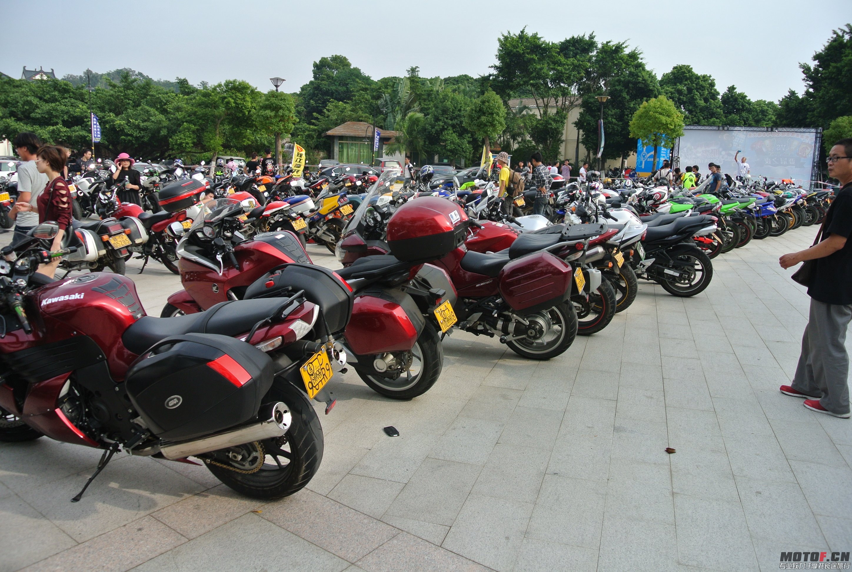 DSC_1531.JPG