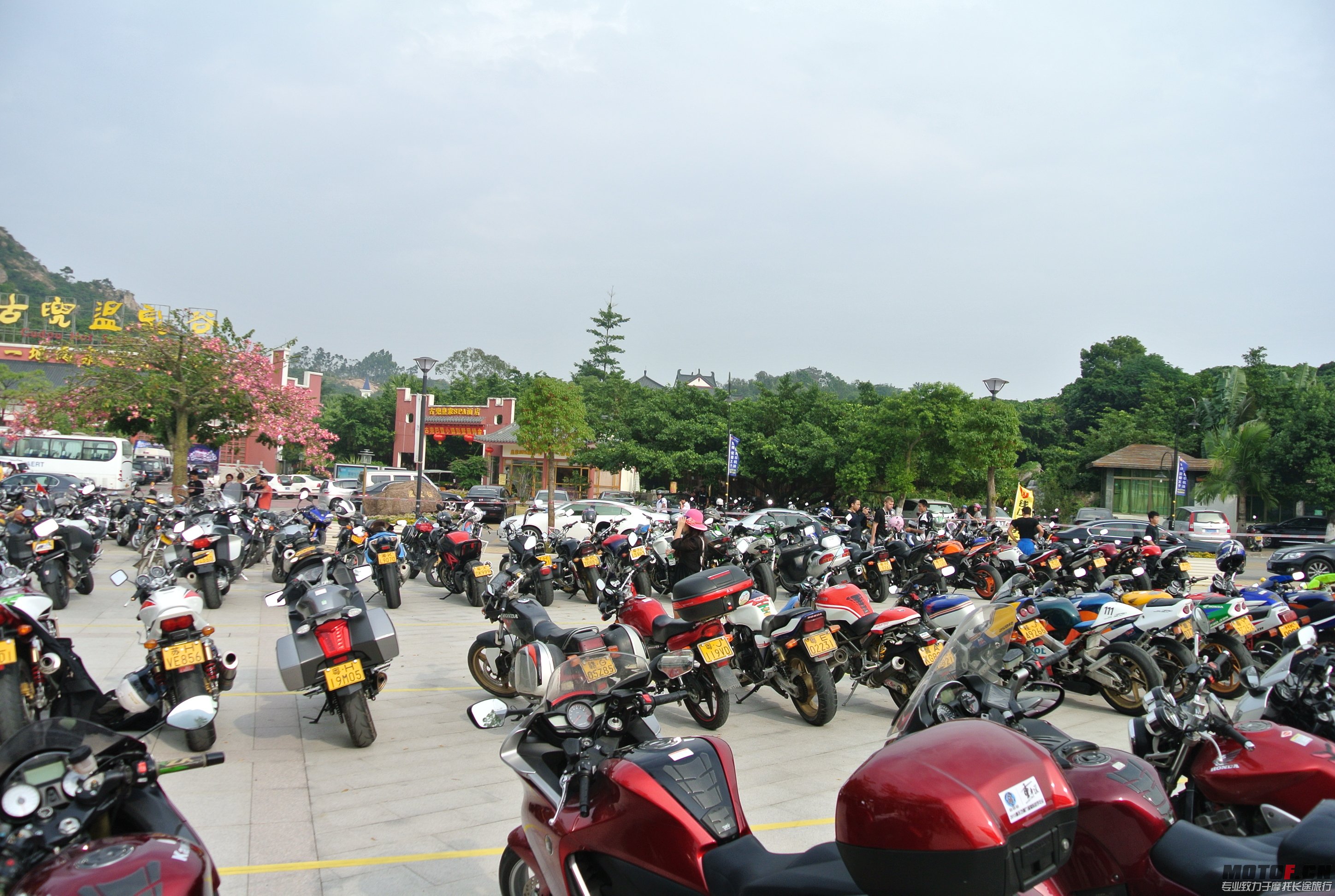 DSC_1532.JPG