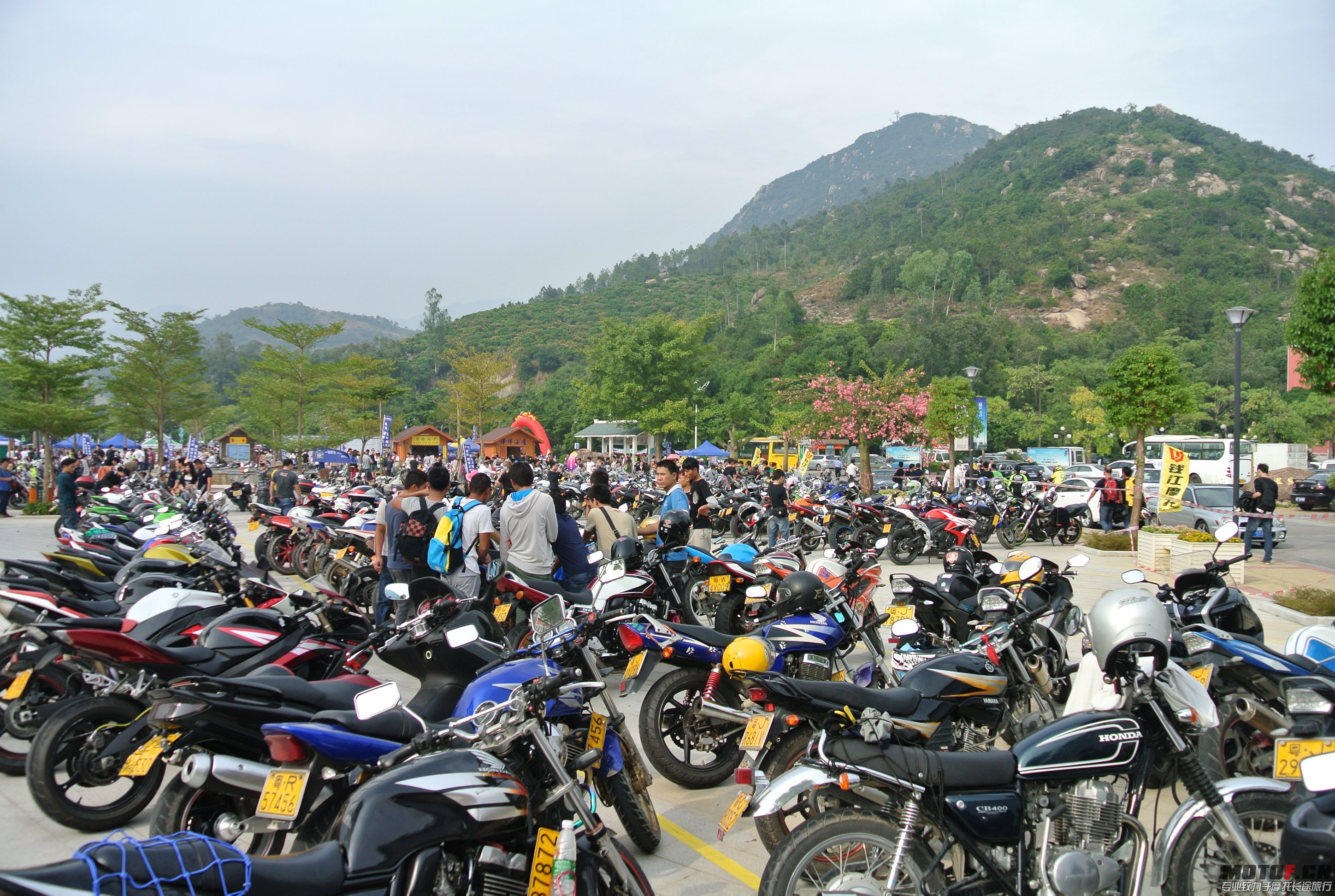 DSC_1534.JPG