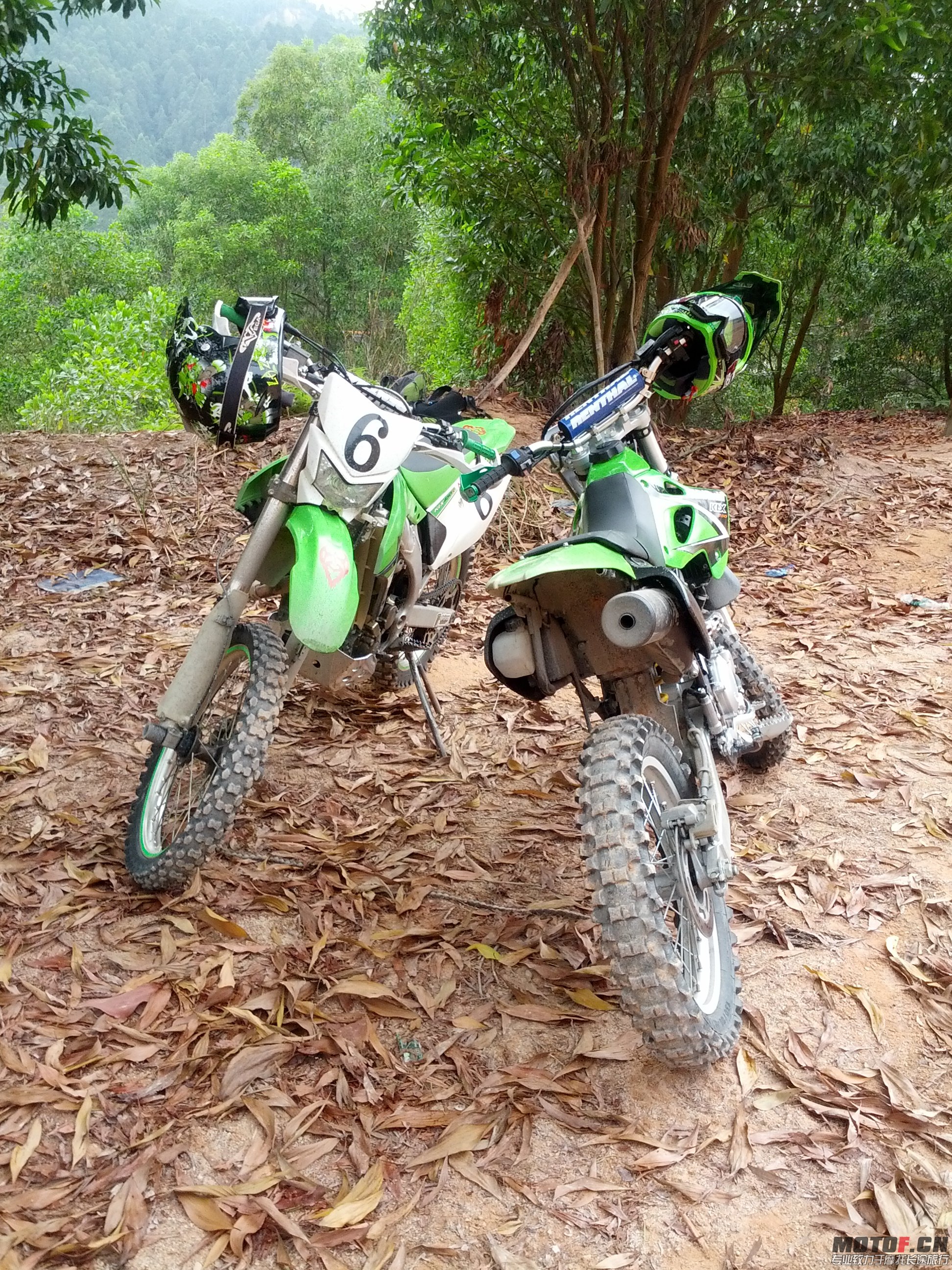 IMG_20131110_130620.jpg