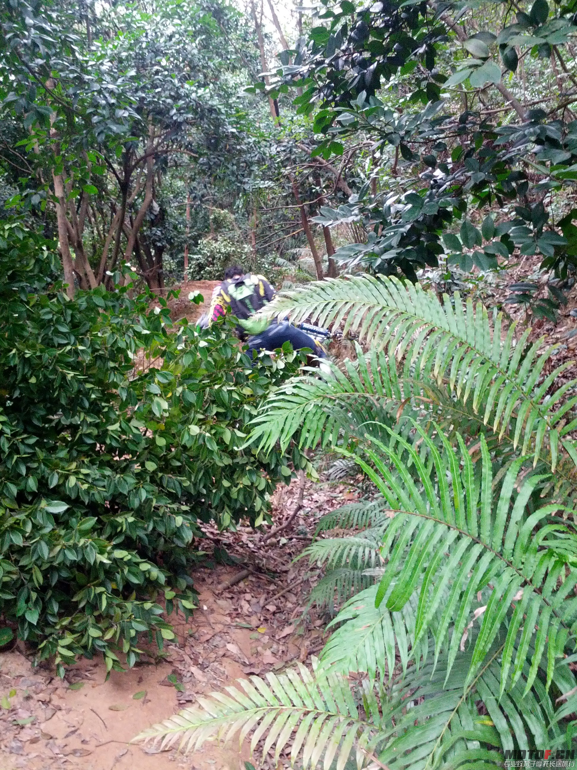IMG_20131110_141746.jpg