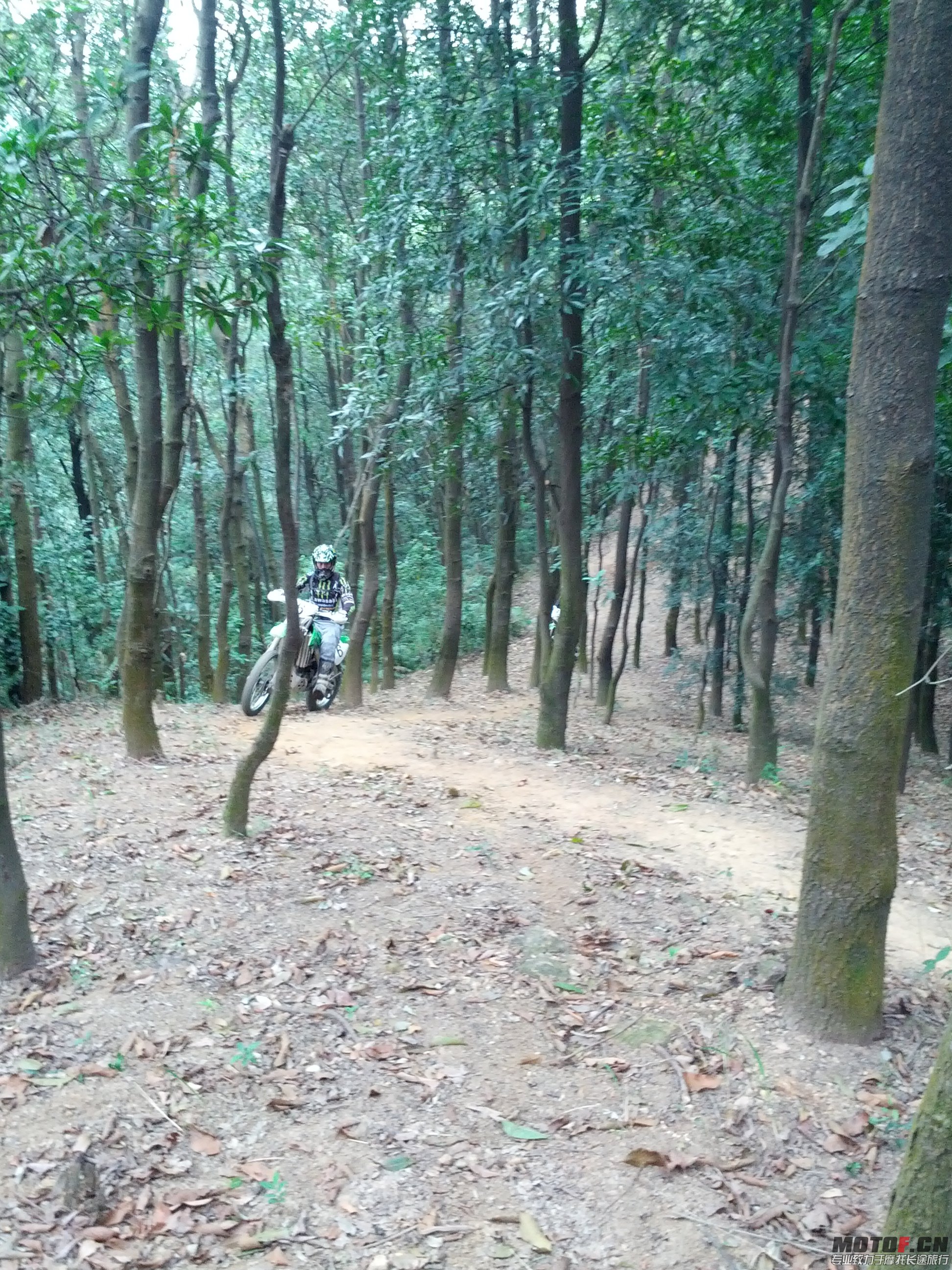 IMG_20131110_143559.jpg