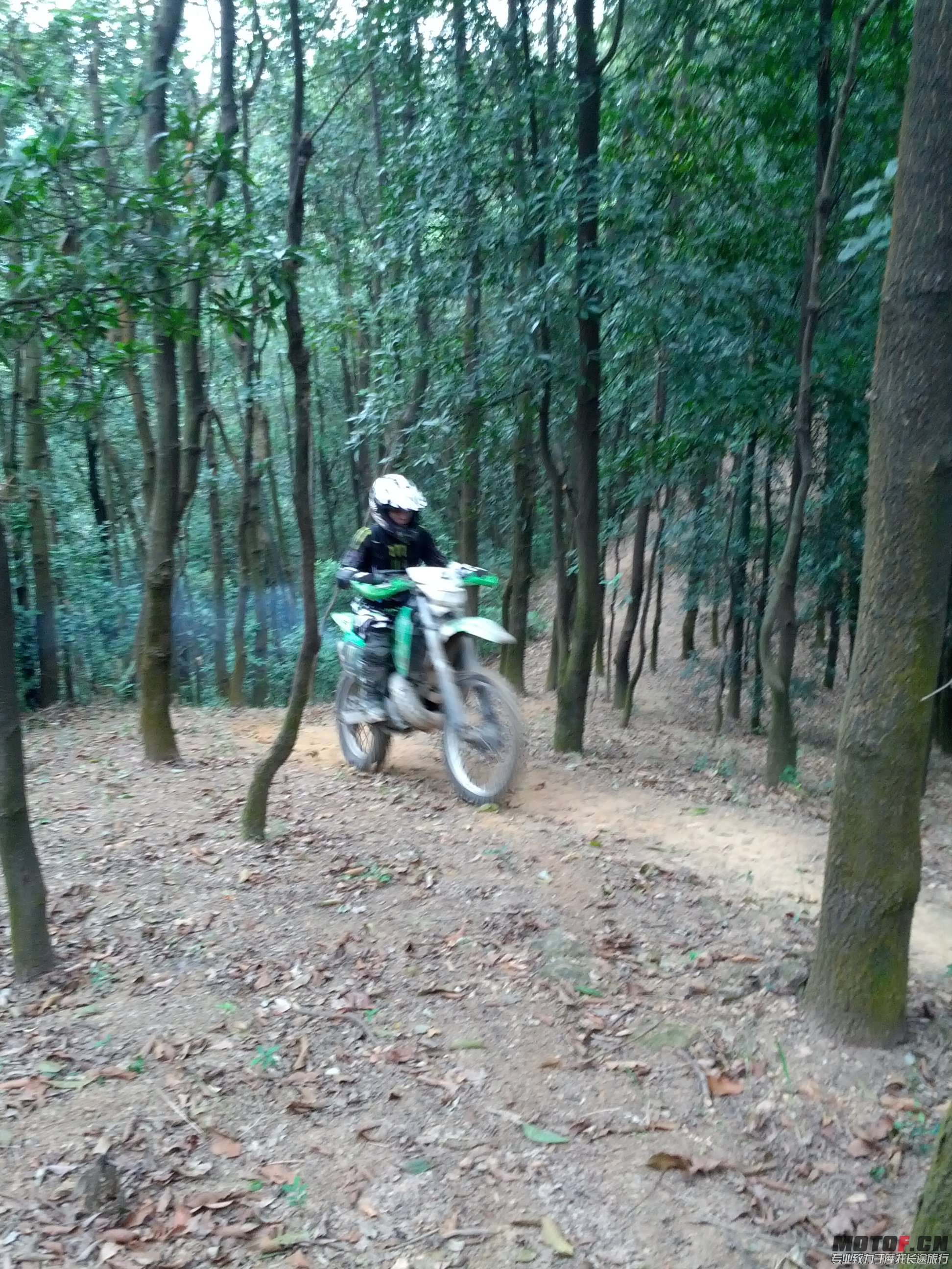 IMG_20131110_143603.jpg