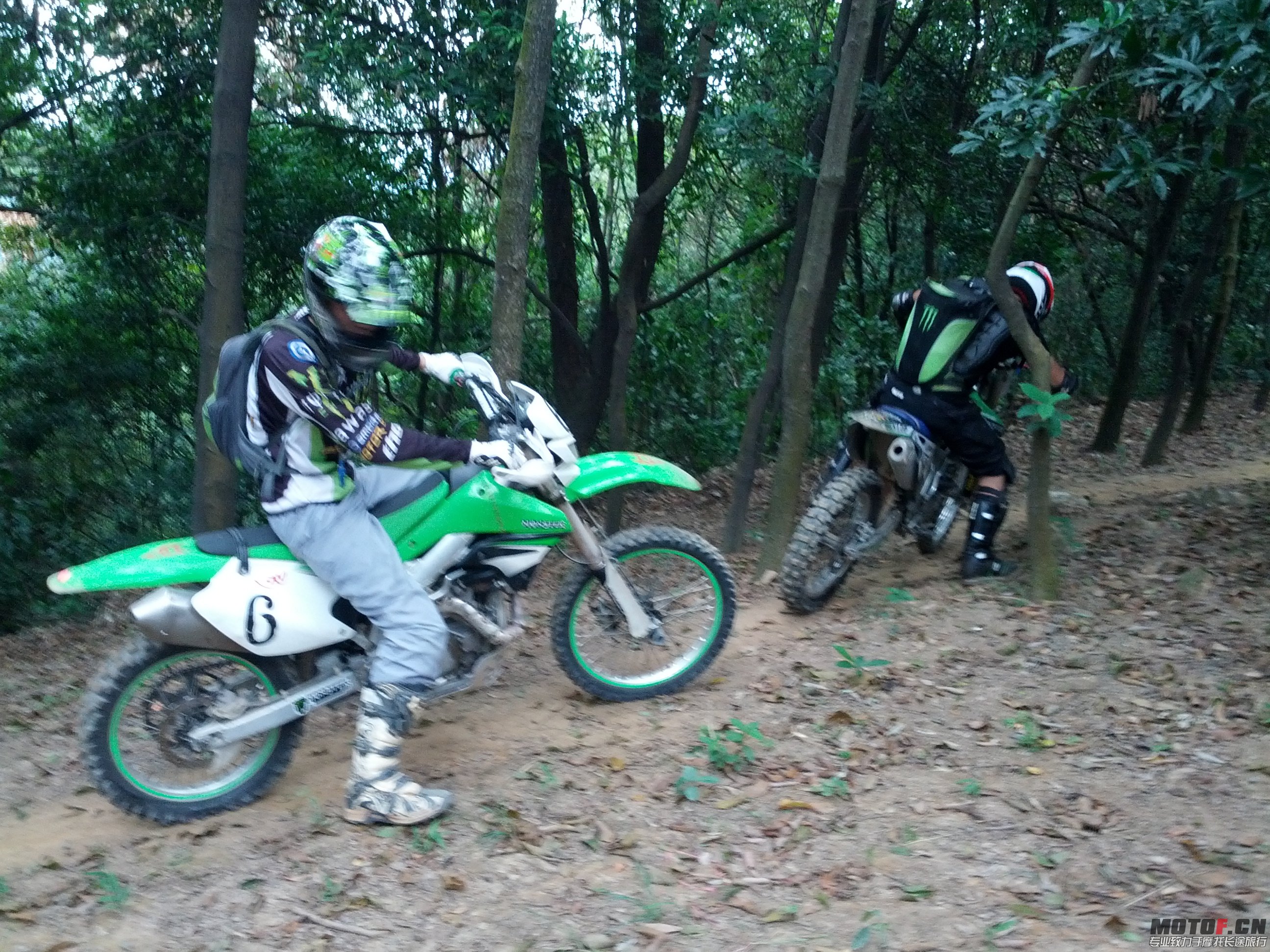 IMG_20131110_143608.jpg