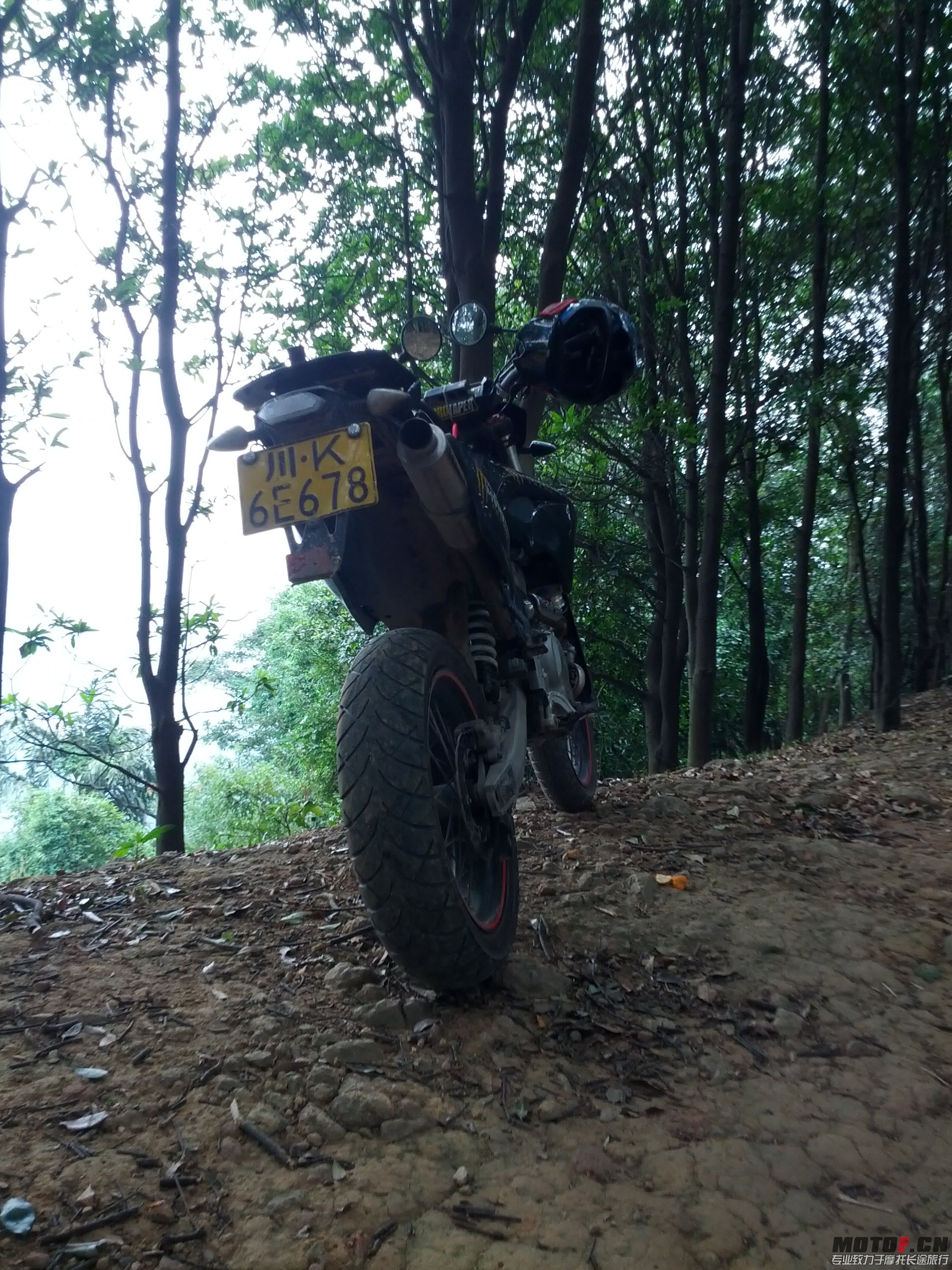 IMG_20131110_144619.jpg
