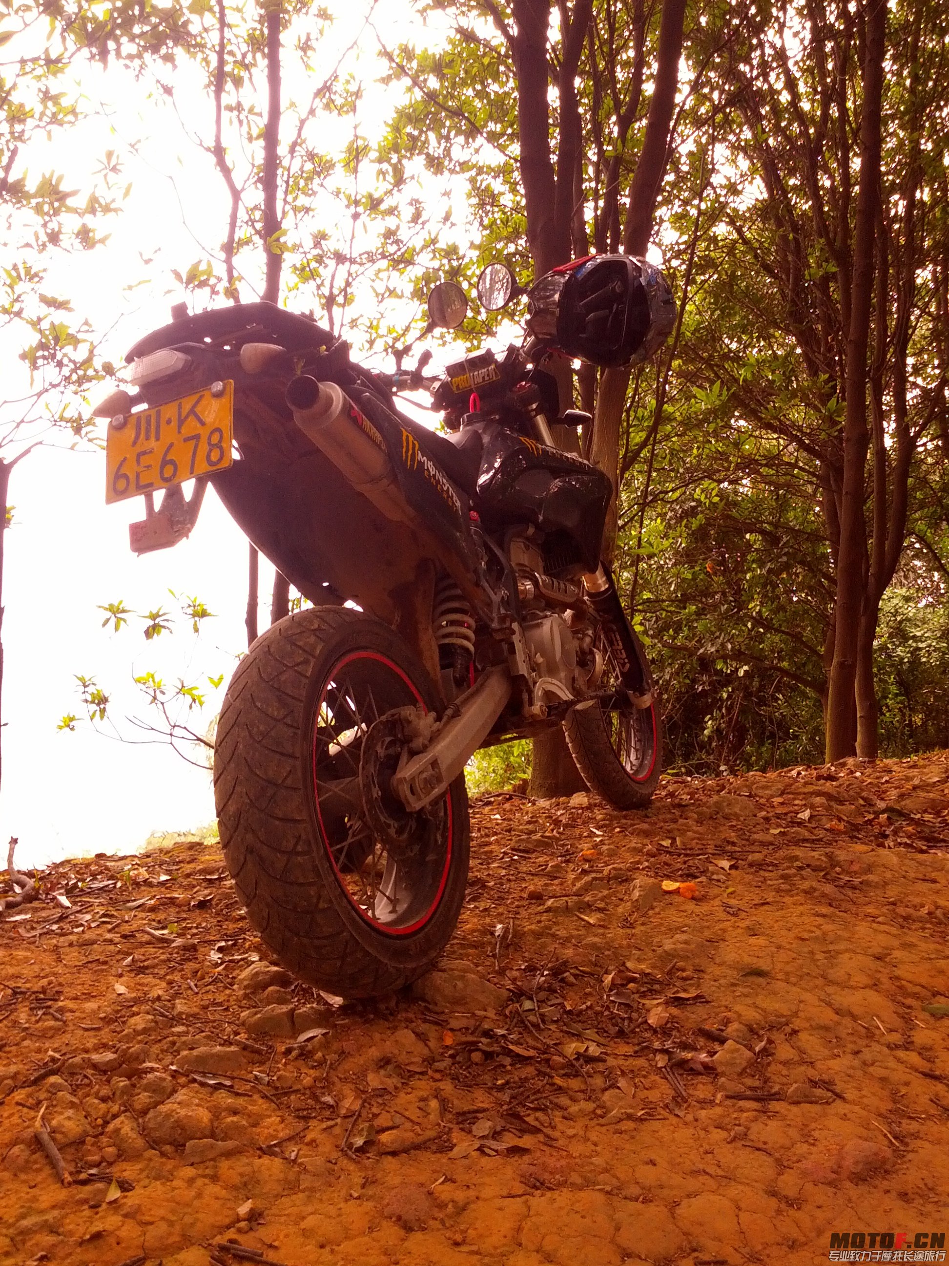 IMG_20131110_144631.jpg