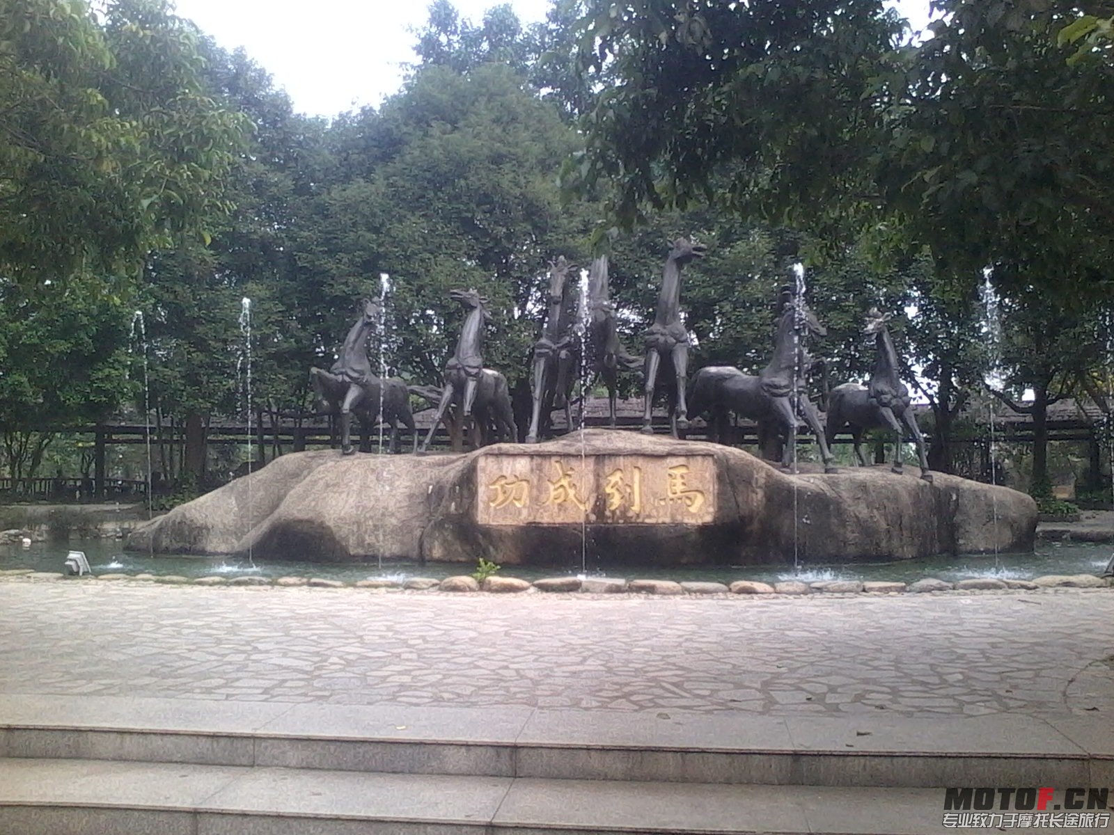 IMG_20131110_123059.JPG