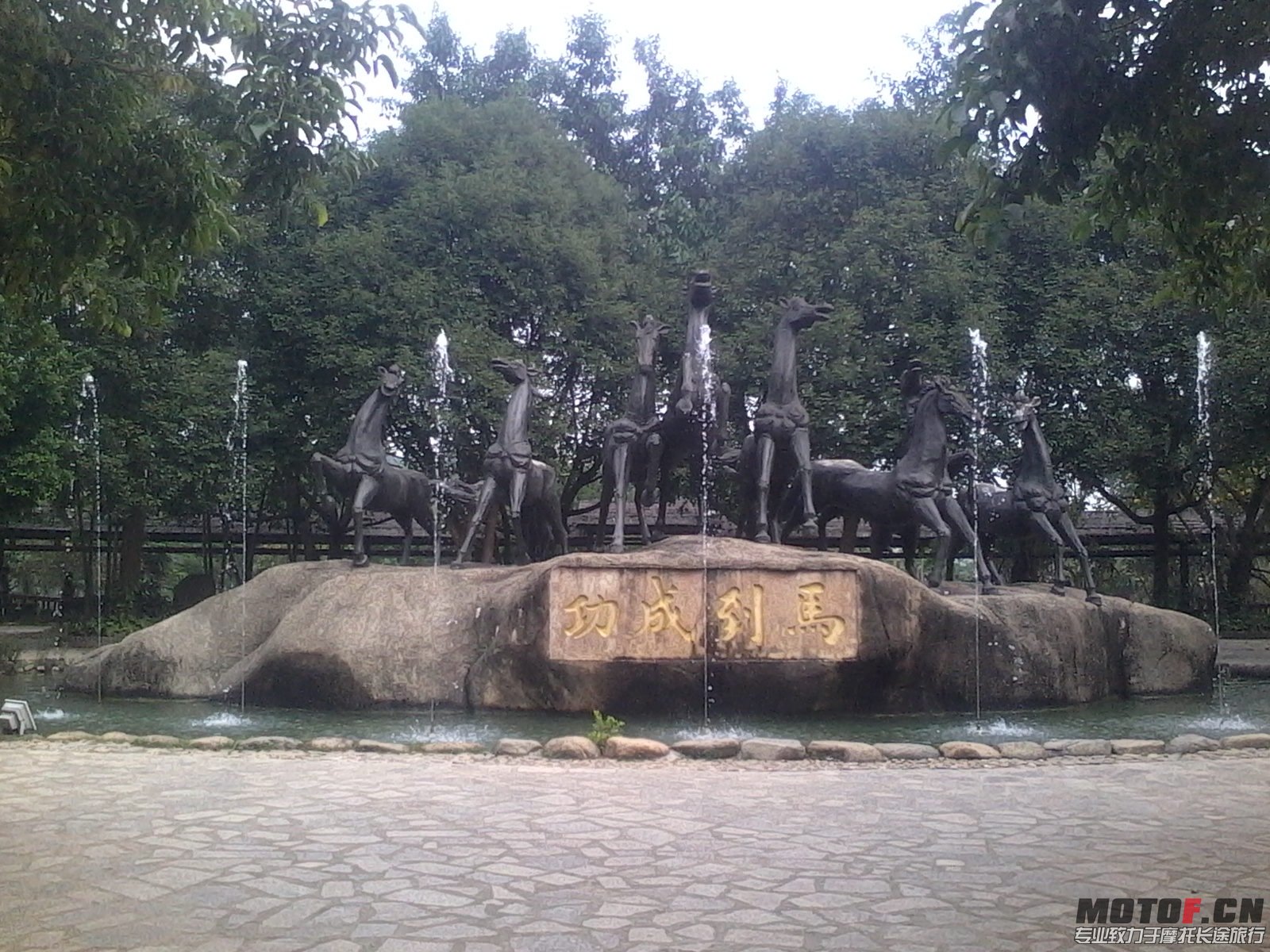 IMG_20131110_123118.JPG