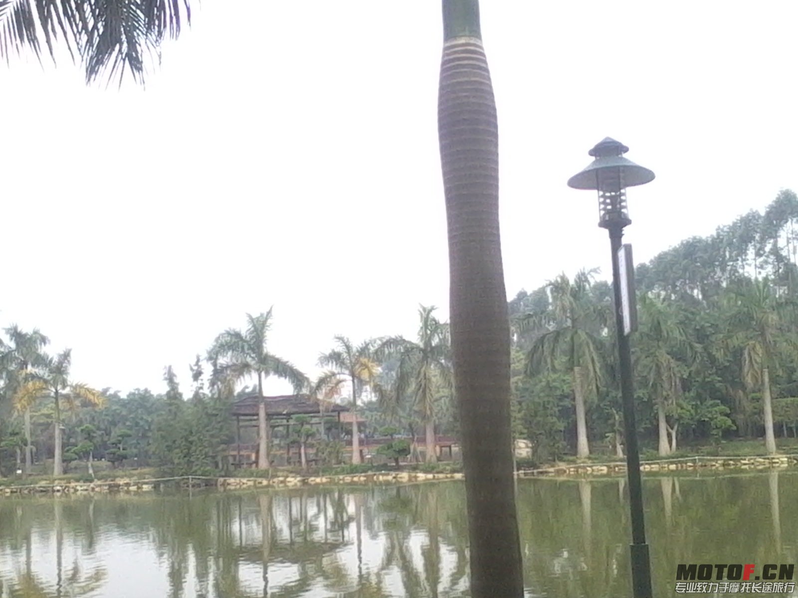 IMG_20131110_124000.JPG