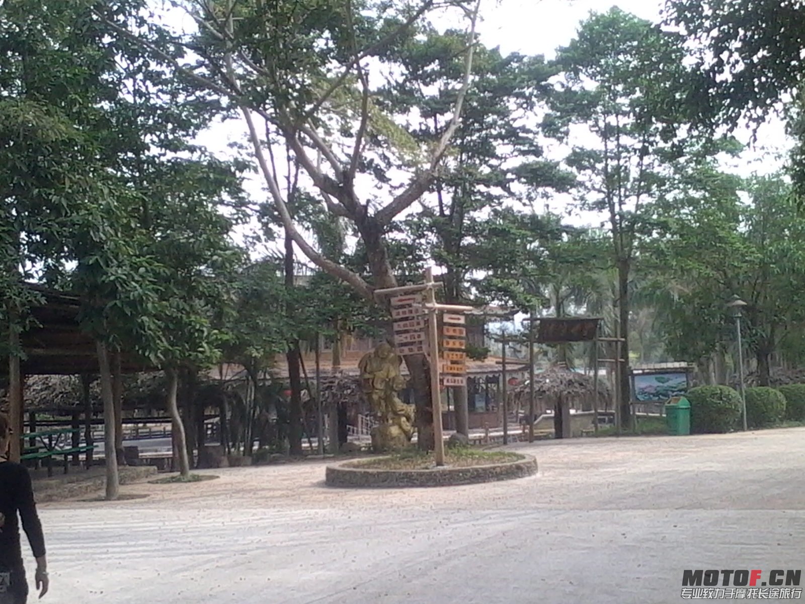 IMG_20131110_124008.JPG