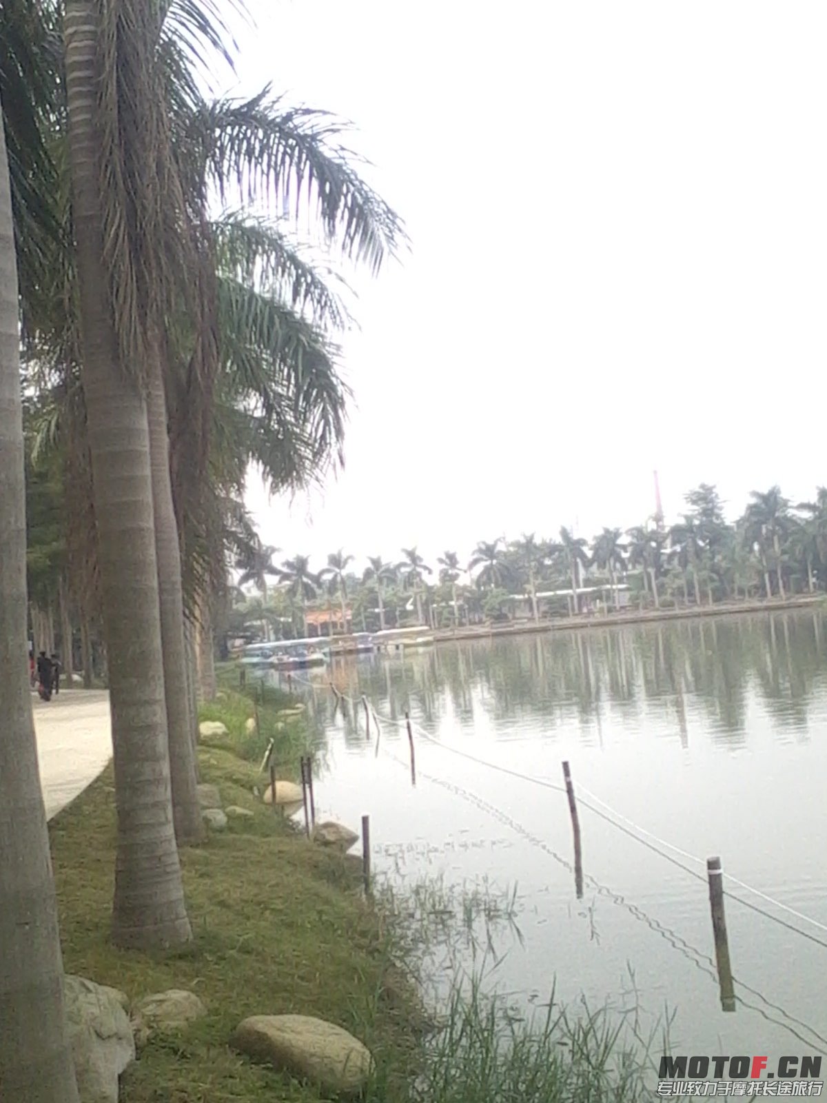 IMG_20131110_124018.JPG