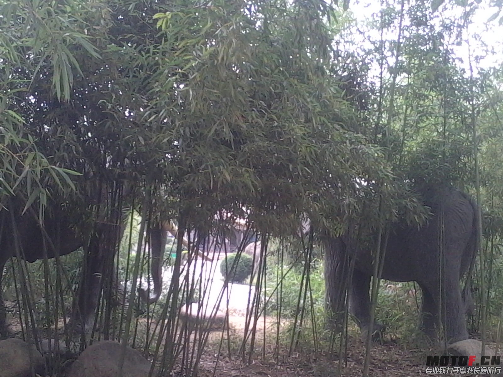 IMG_20131110_130050.JPG