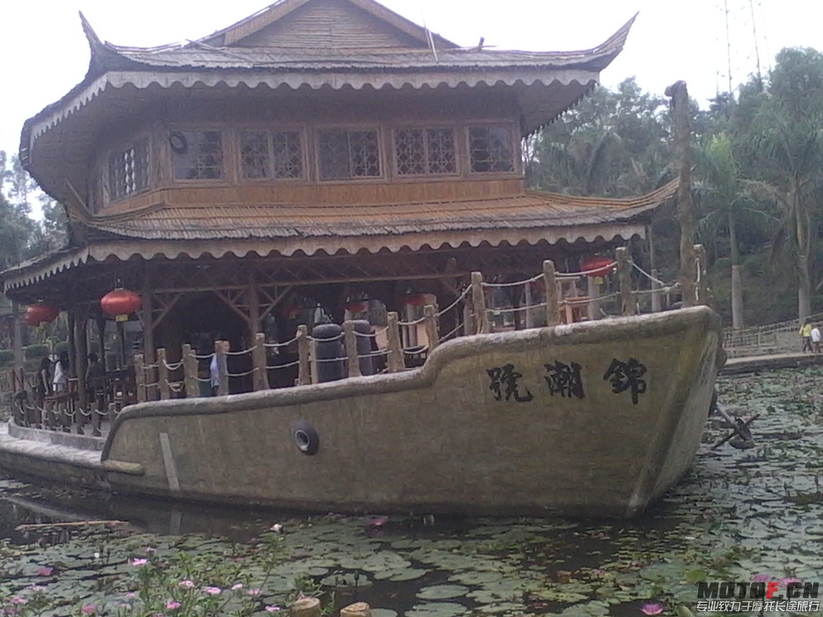 IMG_20131110_130222.JPG
