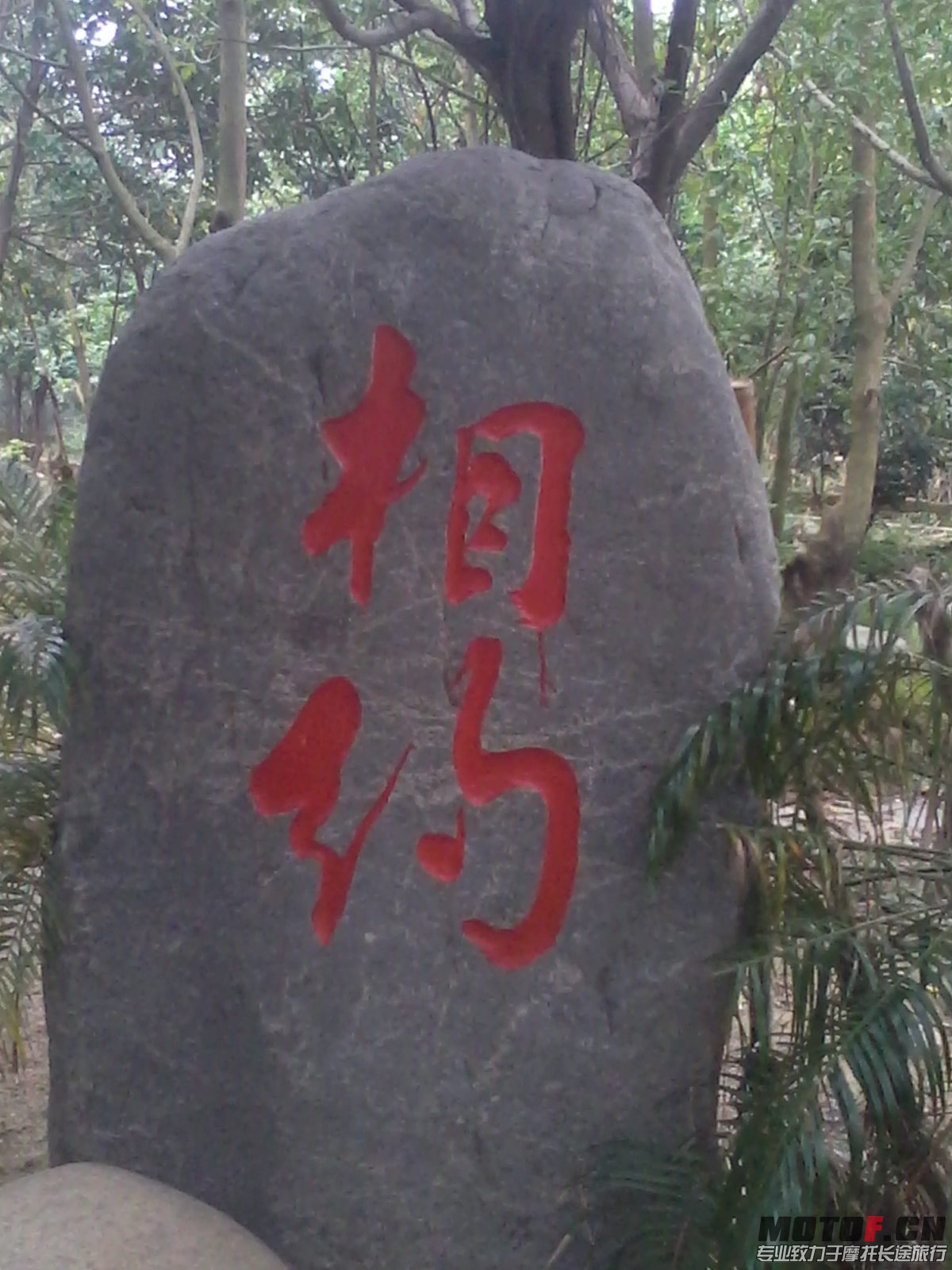 IMG_20131110_130947.JPG