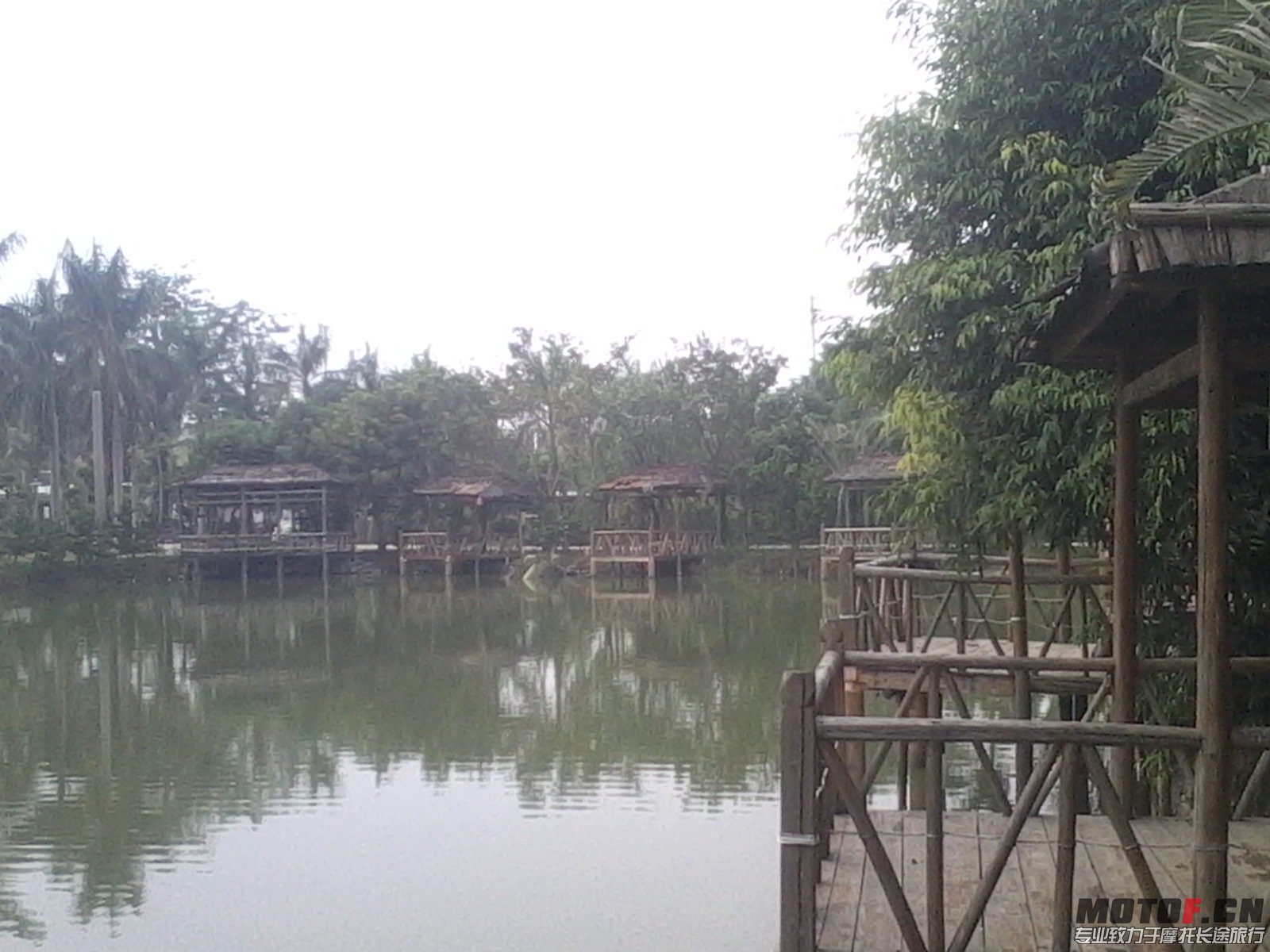 IMG_20131110_131022.JPG