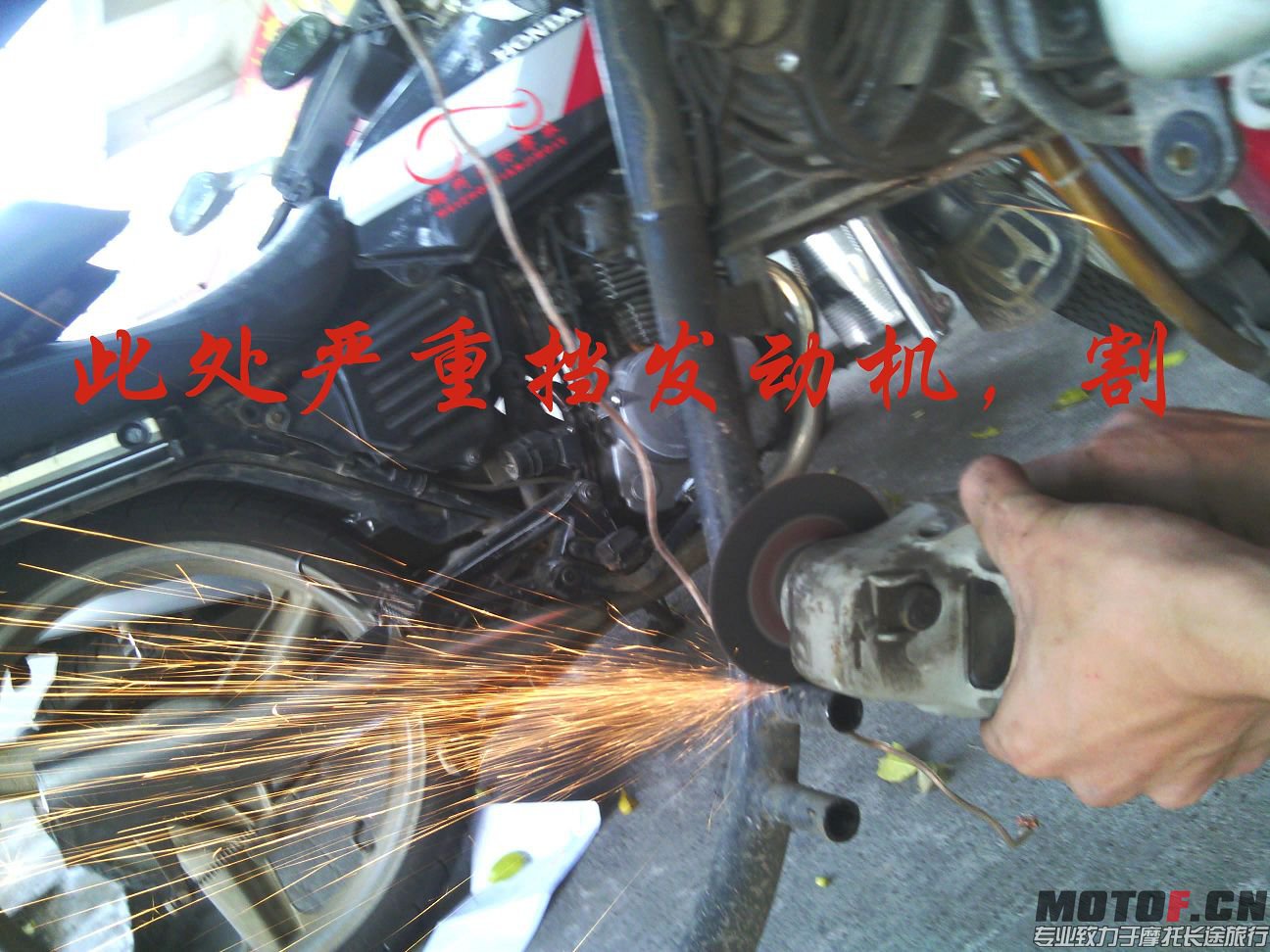 IMG_20131116_131517.jpg