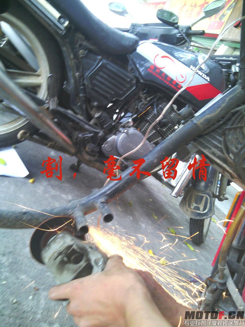 IMG_20131116_131542.jpg