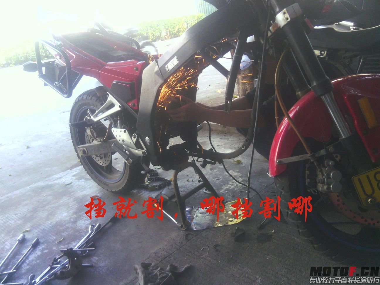 IMG_20131116_141934.jpg