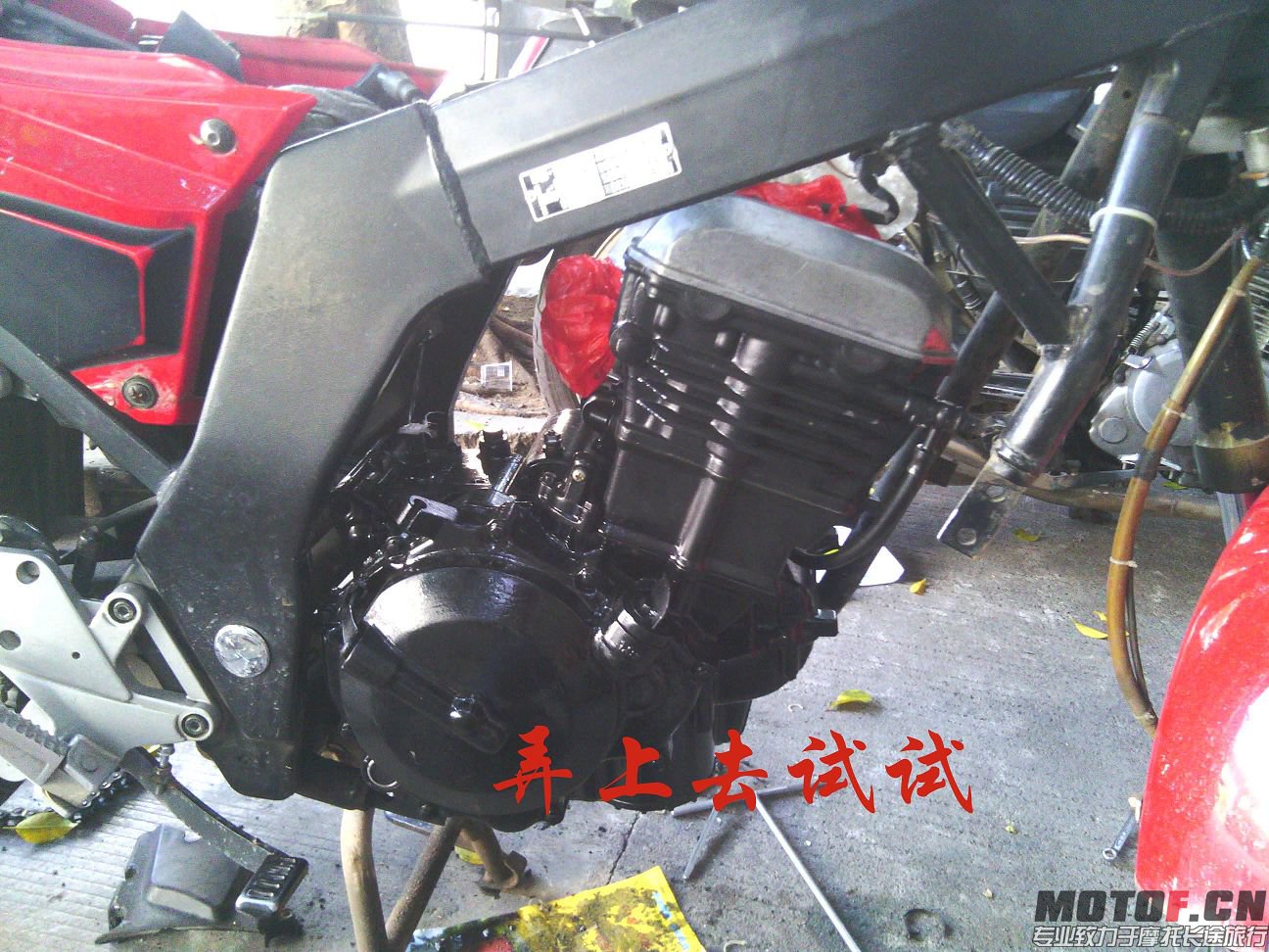 IMG_20131116_143757.jpg