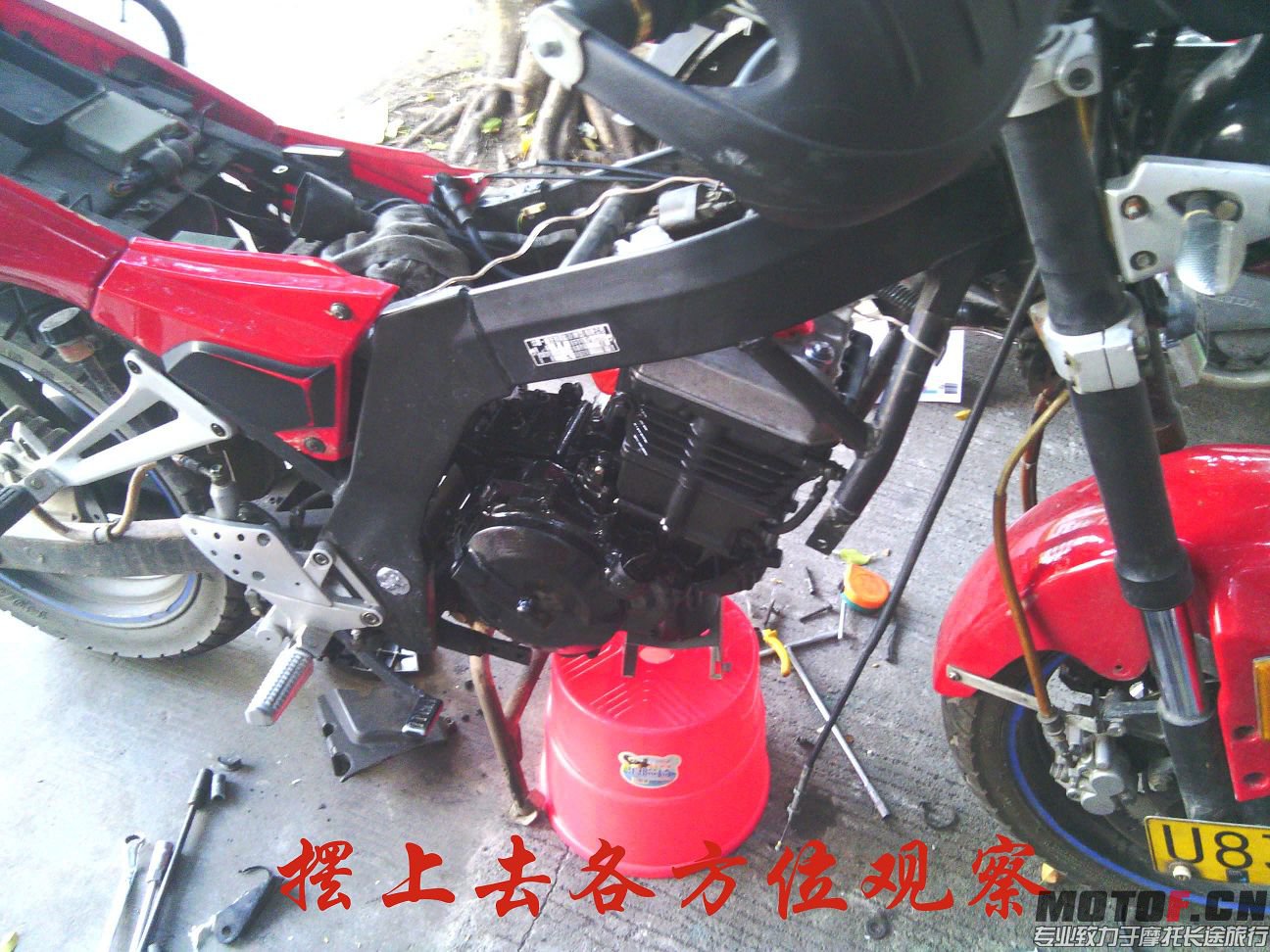 IMG_20131116_160032.jpg