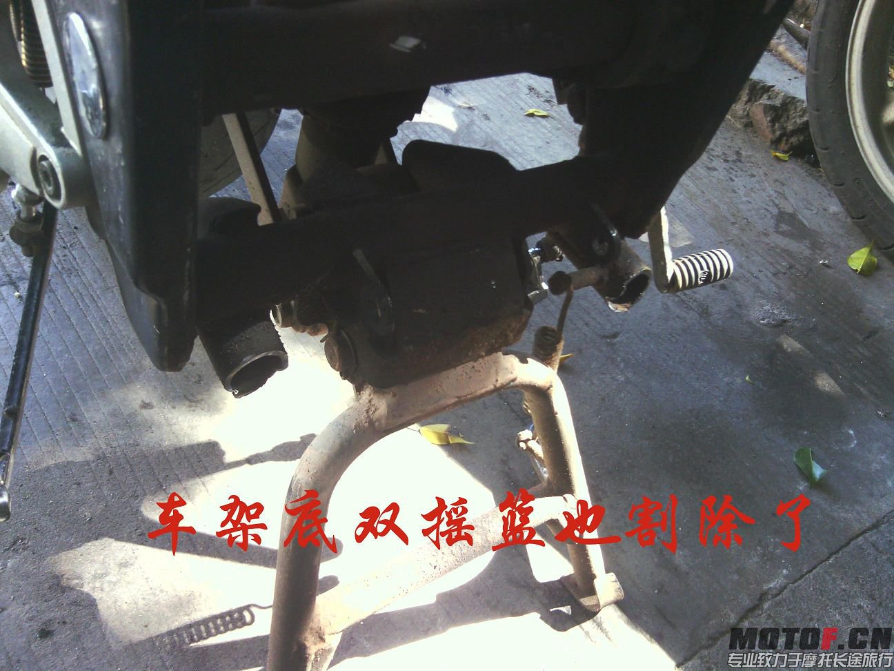 IMG_20131117_112829.jpg