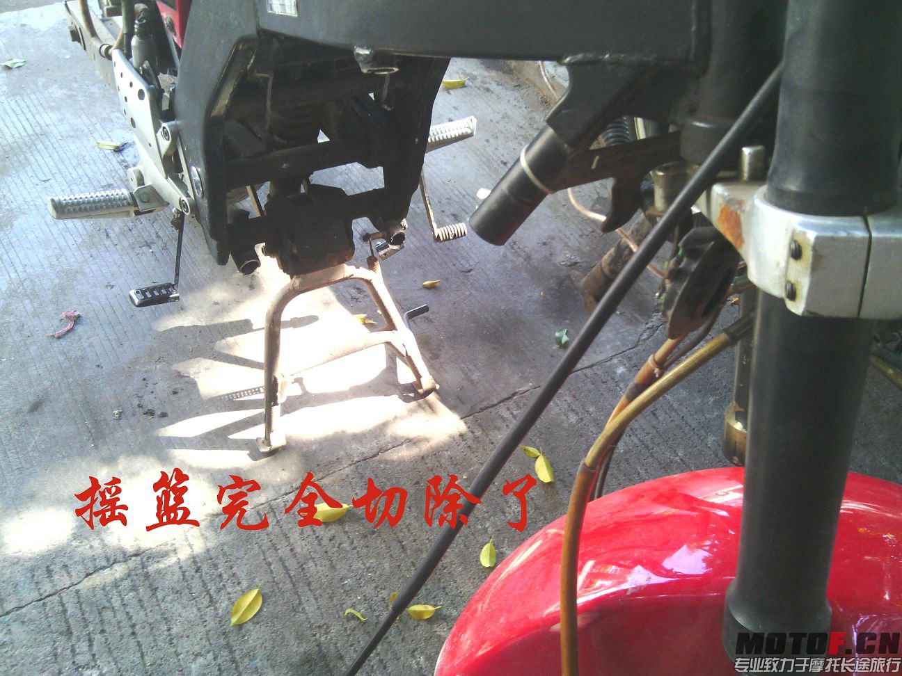 IMG_20131117_112902.jpg