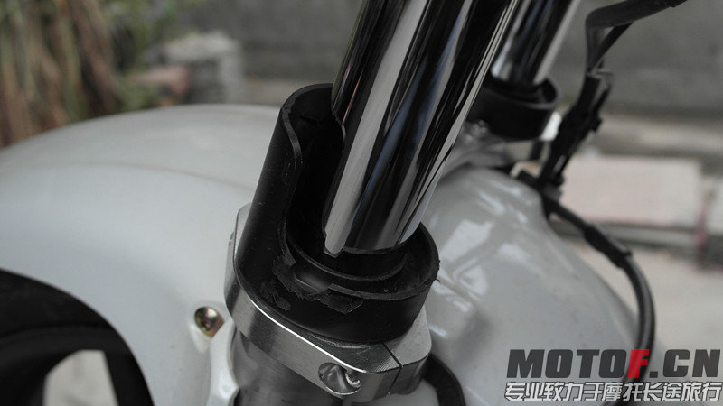 SAM_0683_副本.jpg